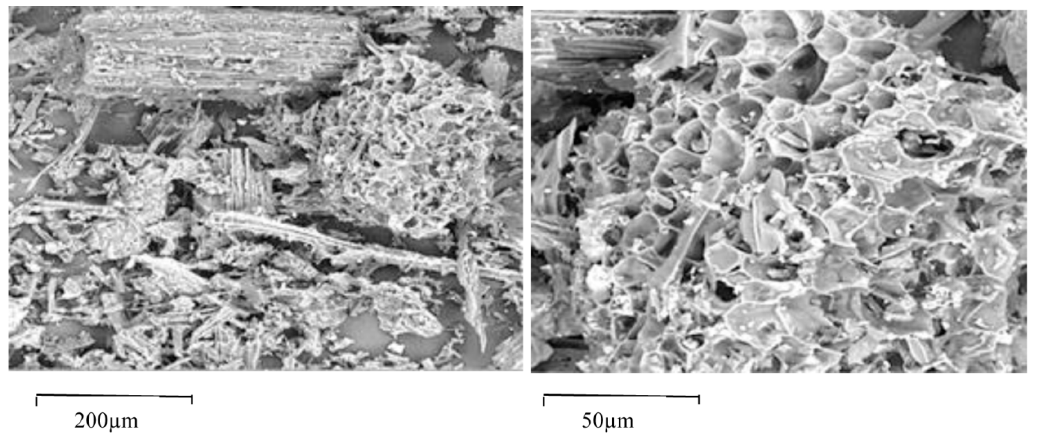 Agronomy 09 00531 g001