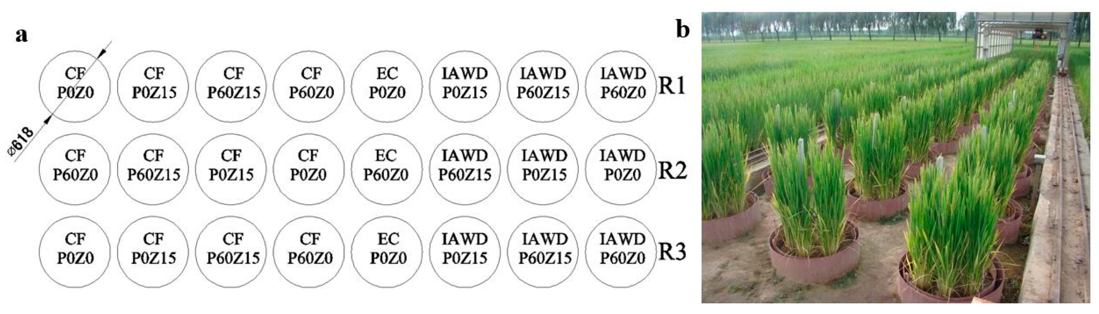 Agronomy 09 00537 g002