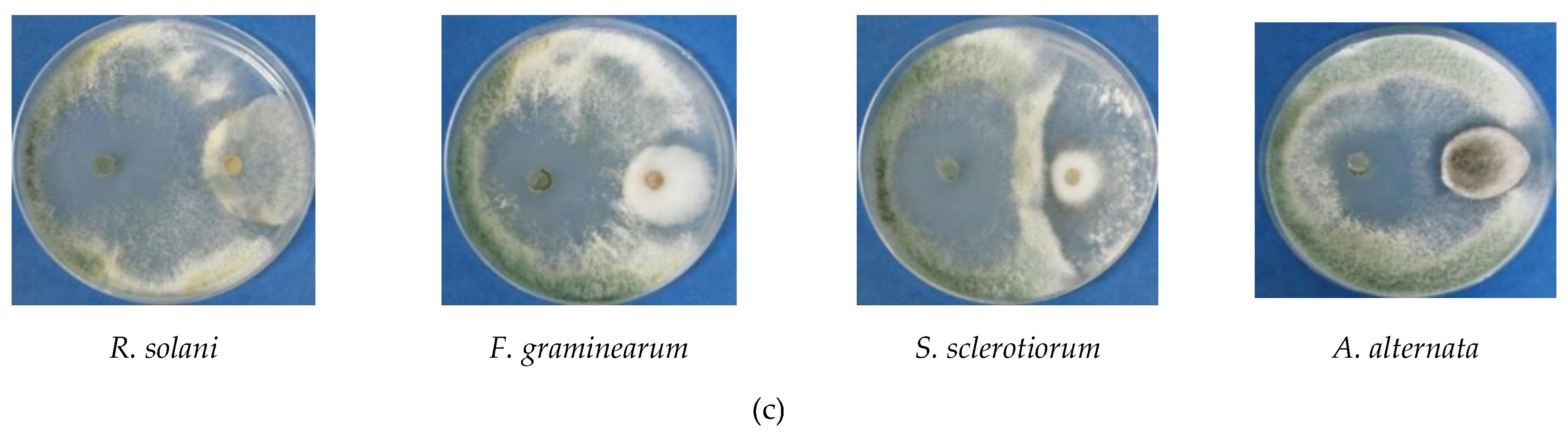 Agronomy 09 00543 g001b