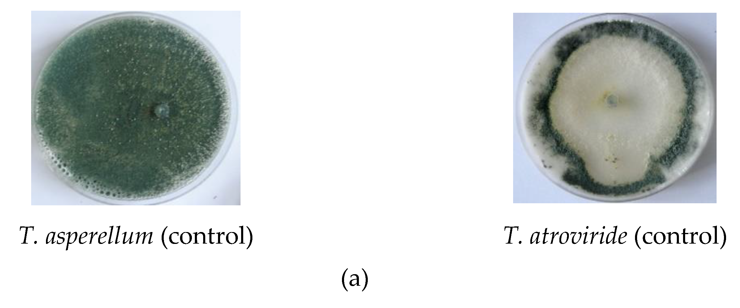 Agronomy 09 00543 g002a