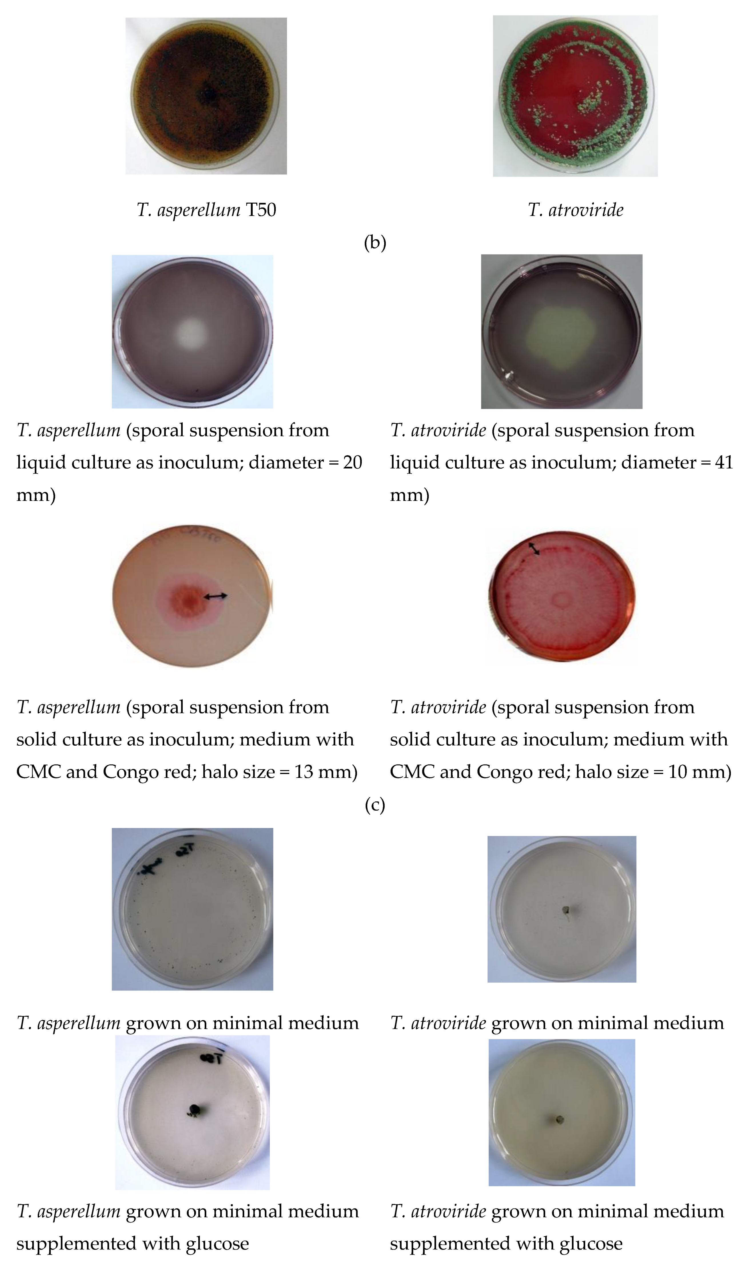 Agronomy 09 00543 g002b