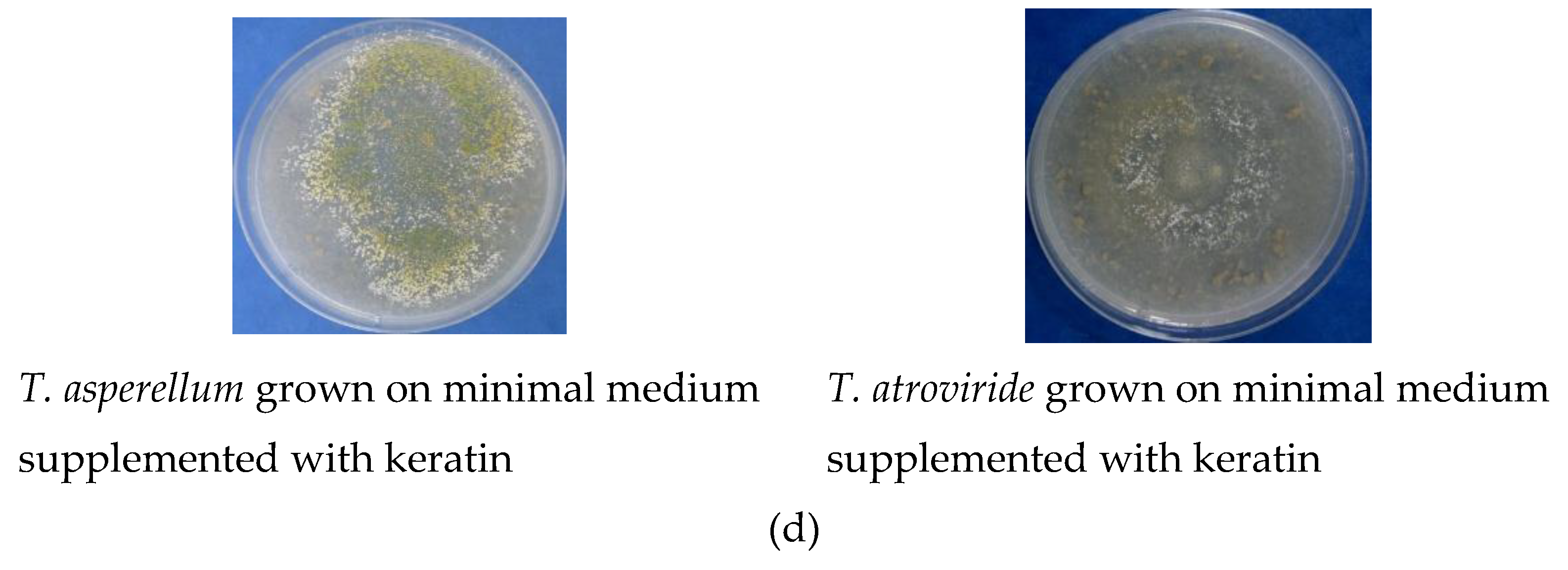 Agronomy 09 00543 g002c
