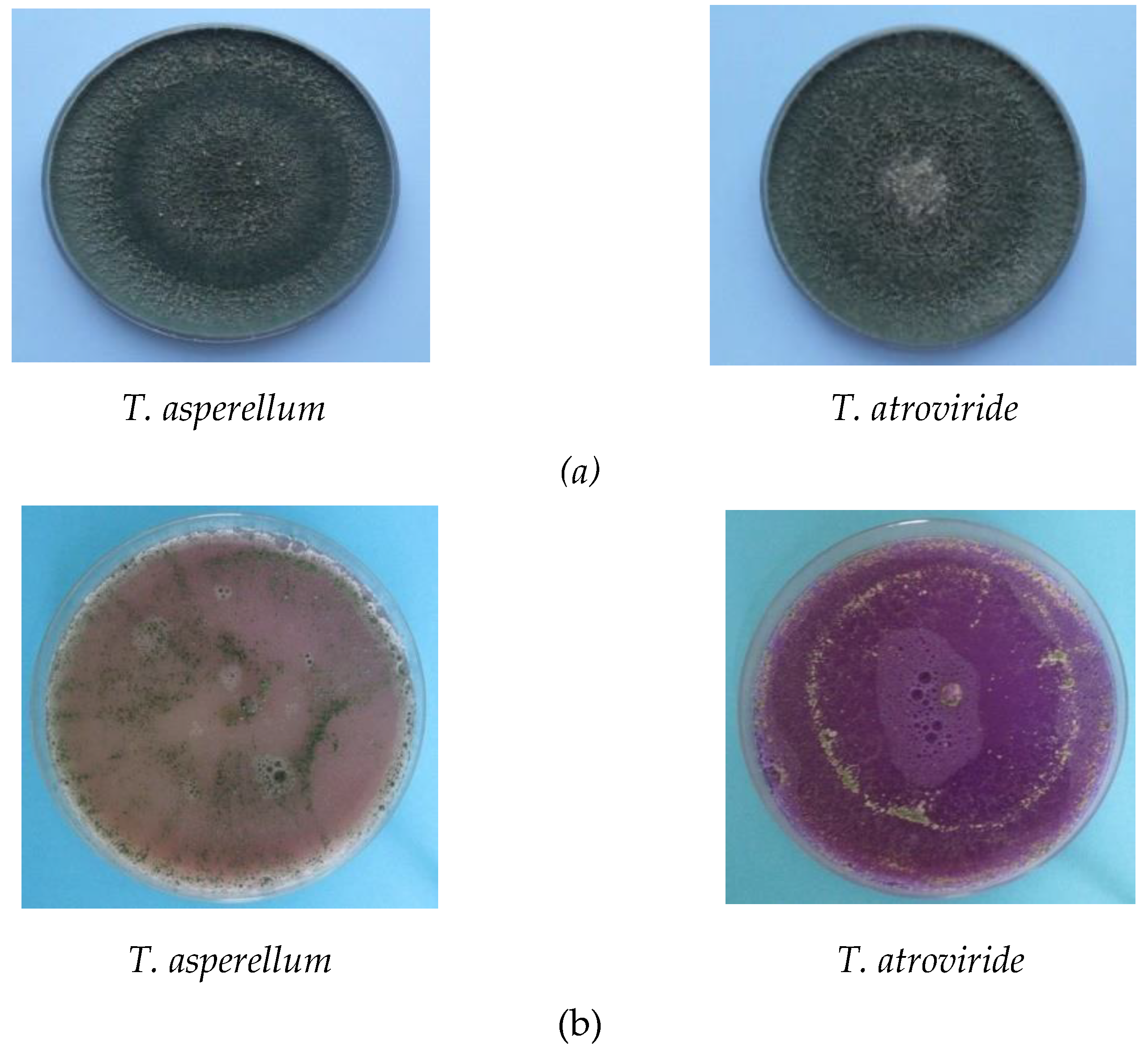 Agronomy 09 00543 g004