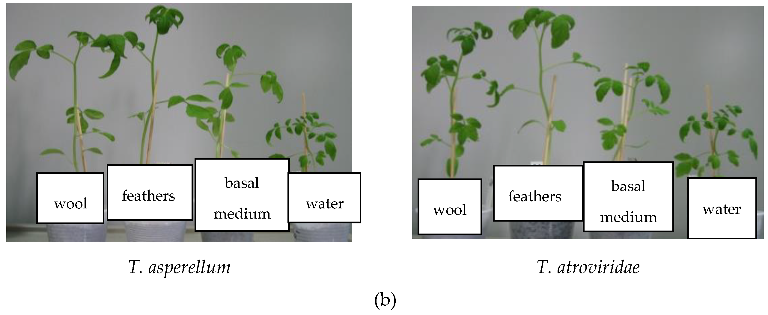Agronomy 09 00543 g007b