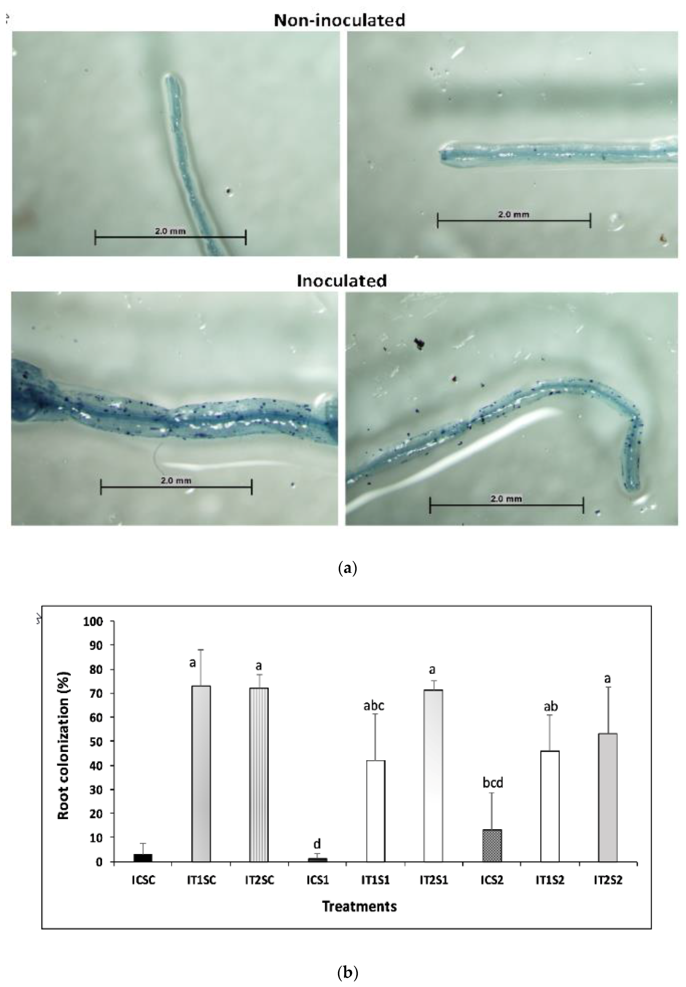 Agronomy 09 00545 g006