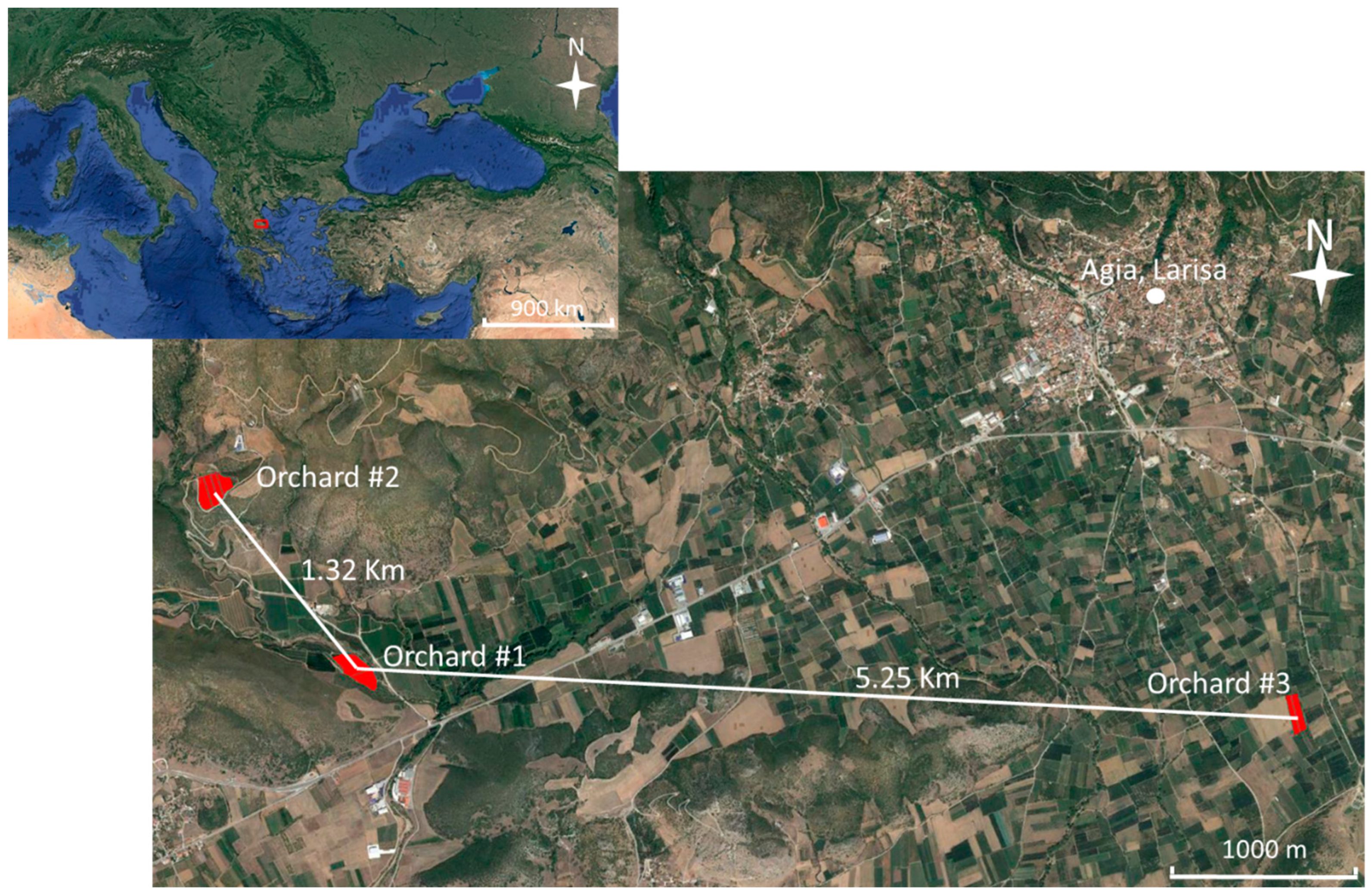 Development and Field Testing of a Spatial Decision Support System 