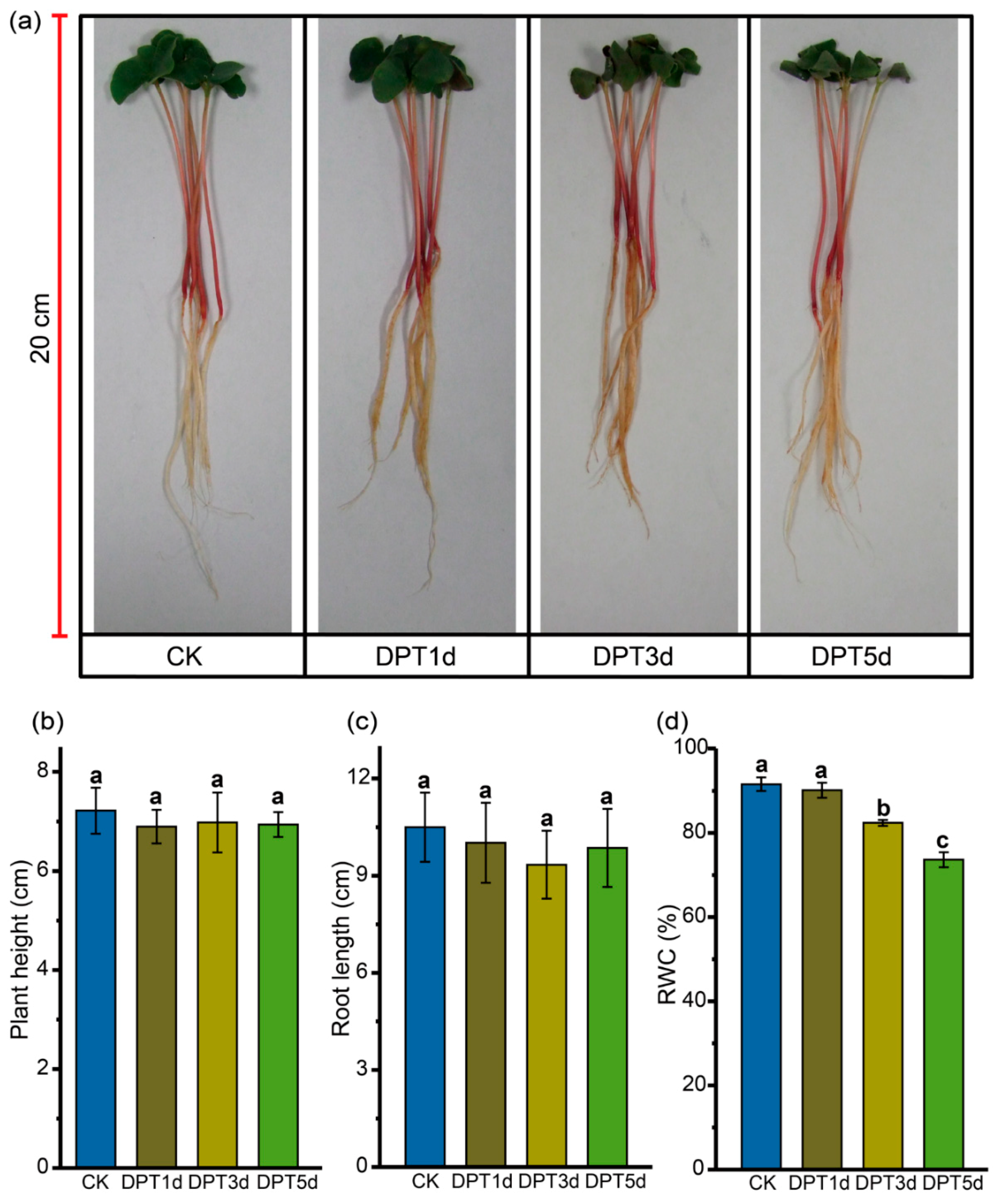 Agronomy 09 00569 g001 550