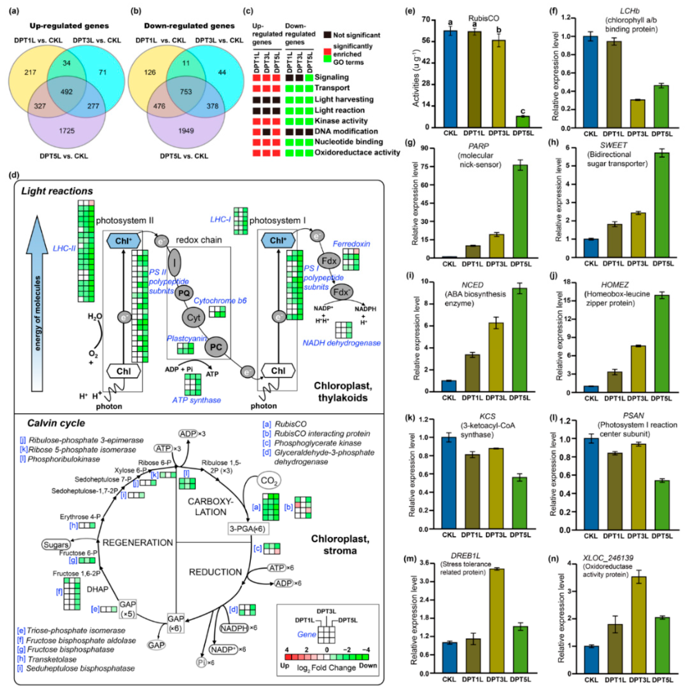 Agronomy 09 00569 g004 550