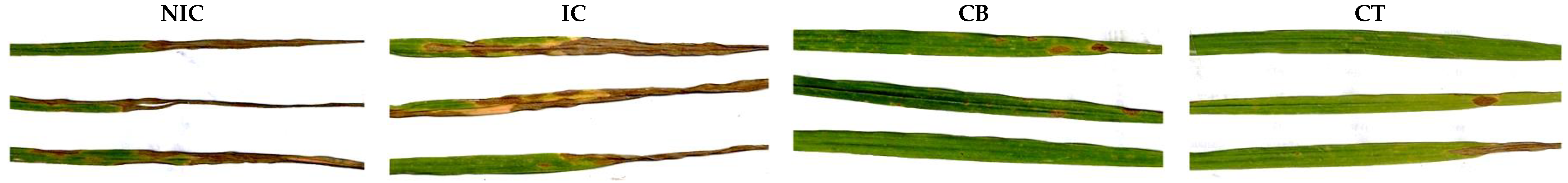 Agronomy 09 00586 g002 Agronomy 09 00586 g002