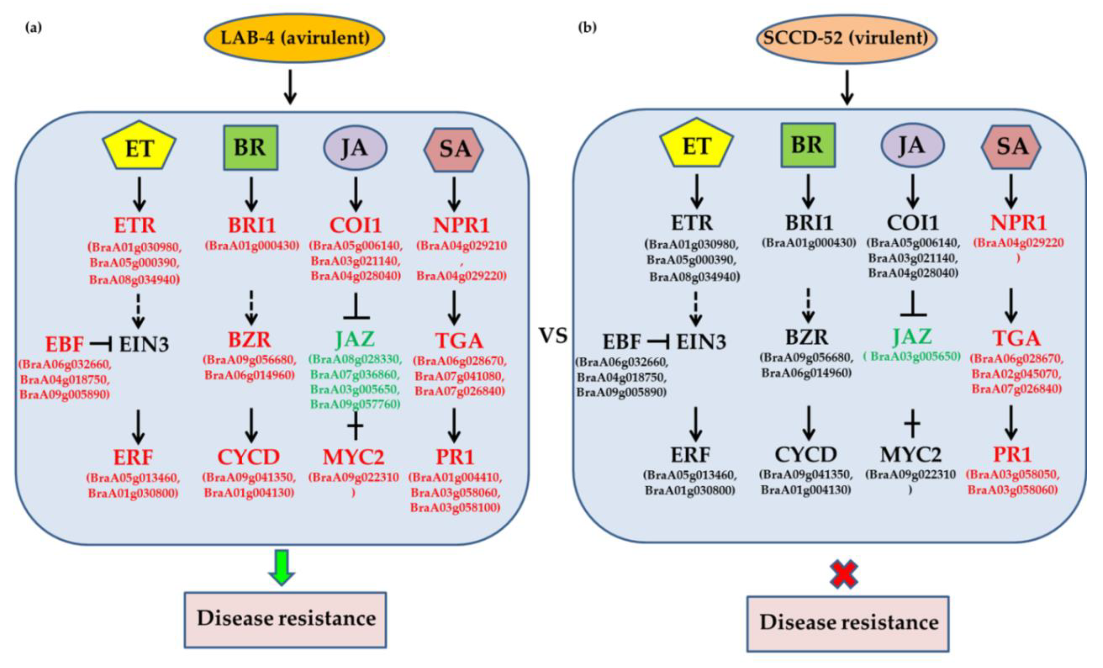 Agronomy 09 00589 g007 Agronomy 09 00589 g007