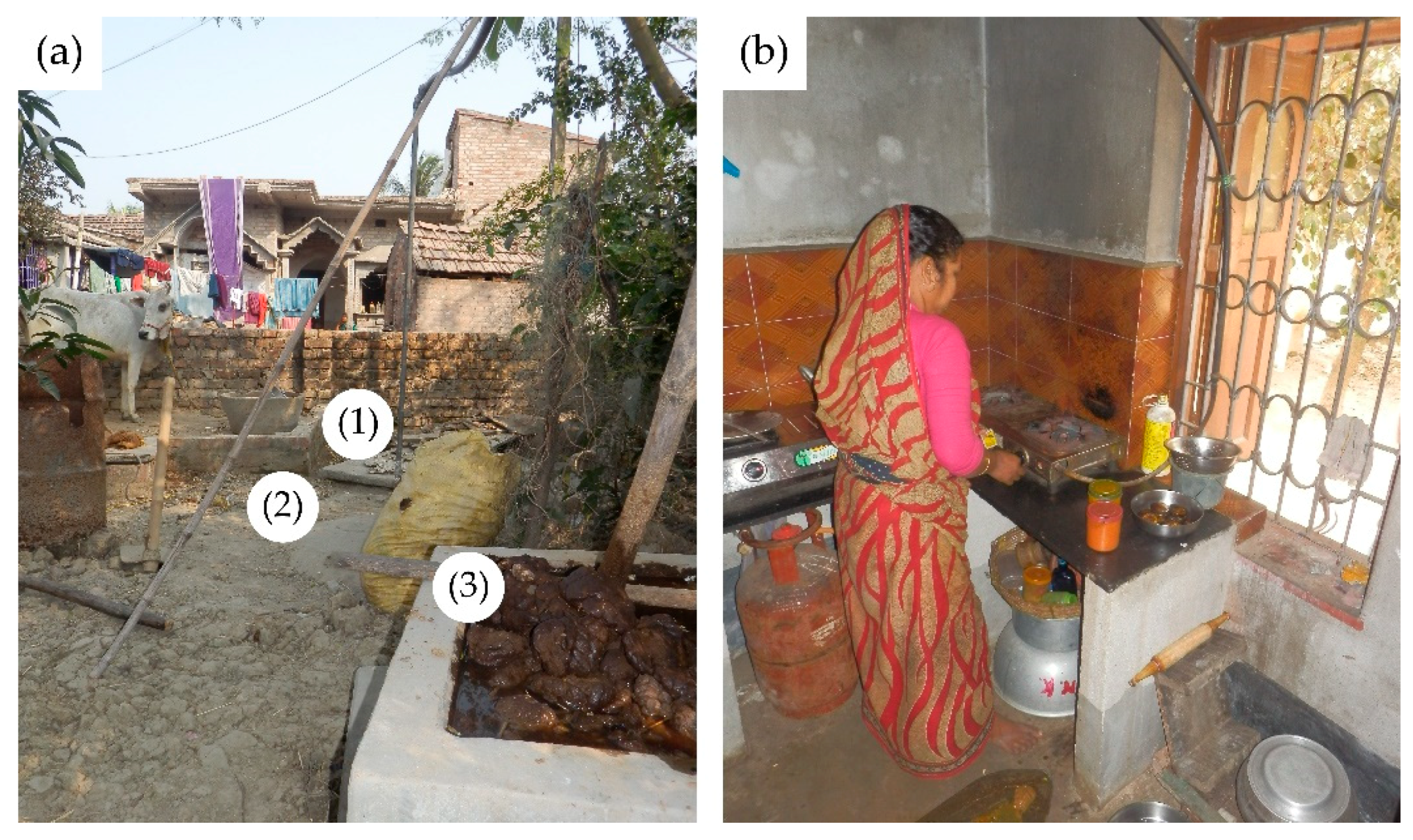 Agronomy 09 00605 g007