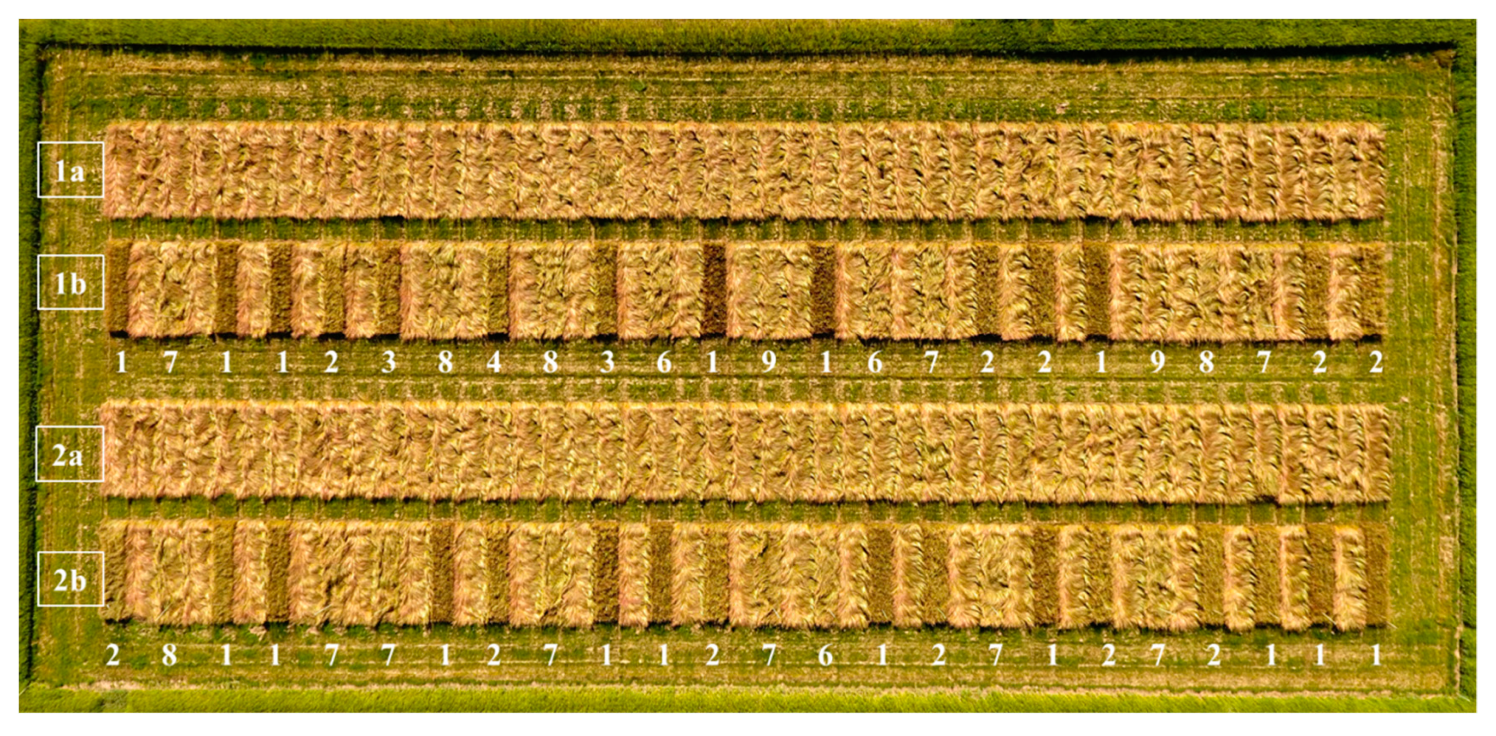 Agronomy 09 00617 g001 550