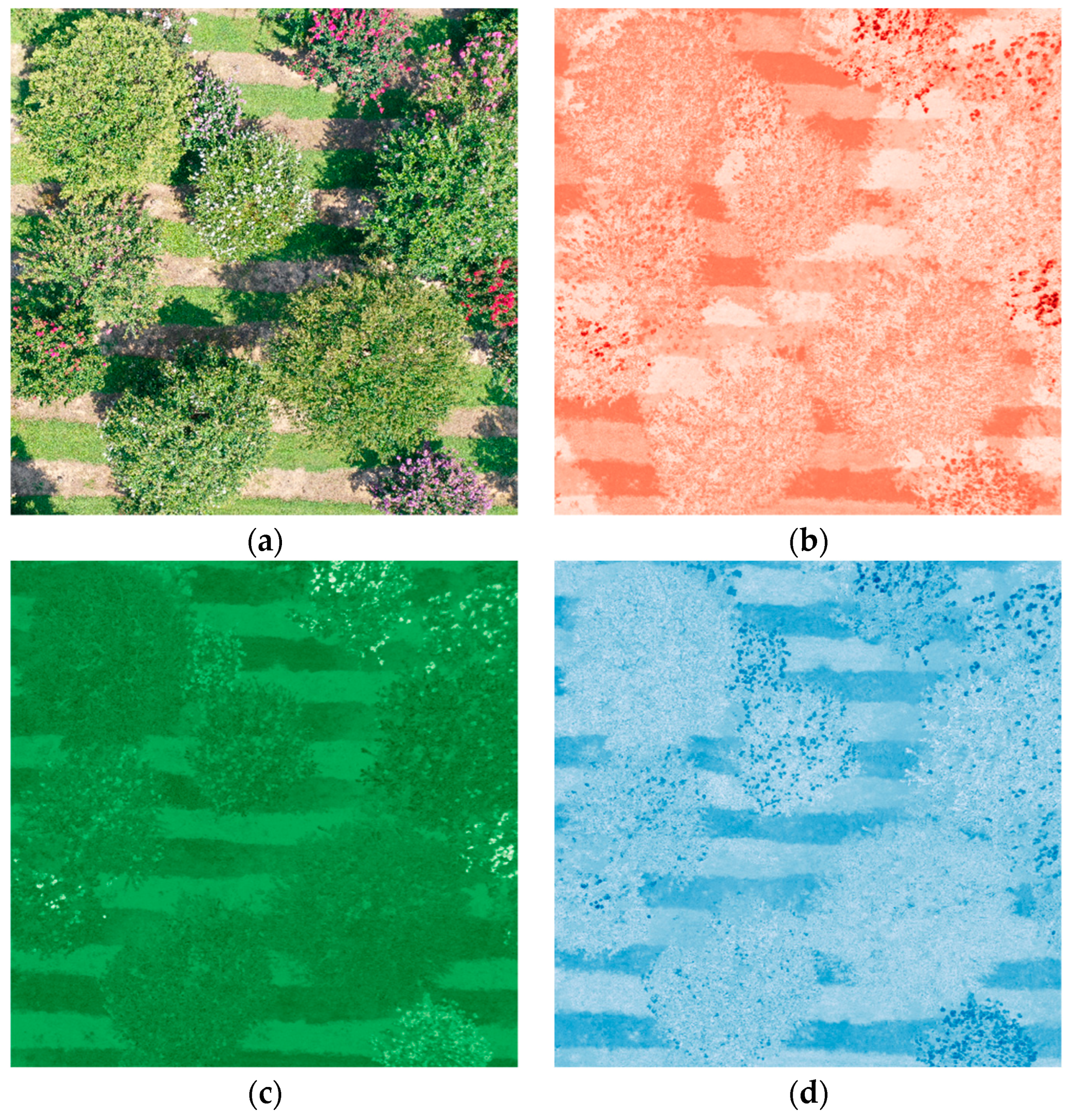 Agronomy 09 00618 g002 Agronomy 09 00618 g002