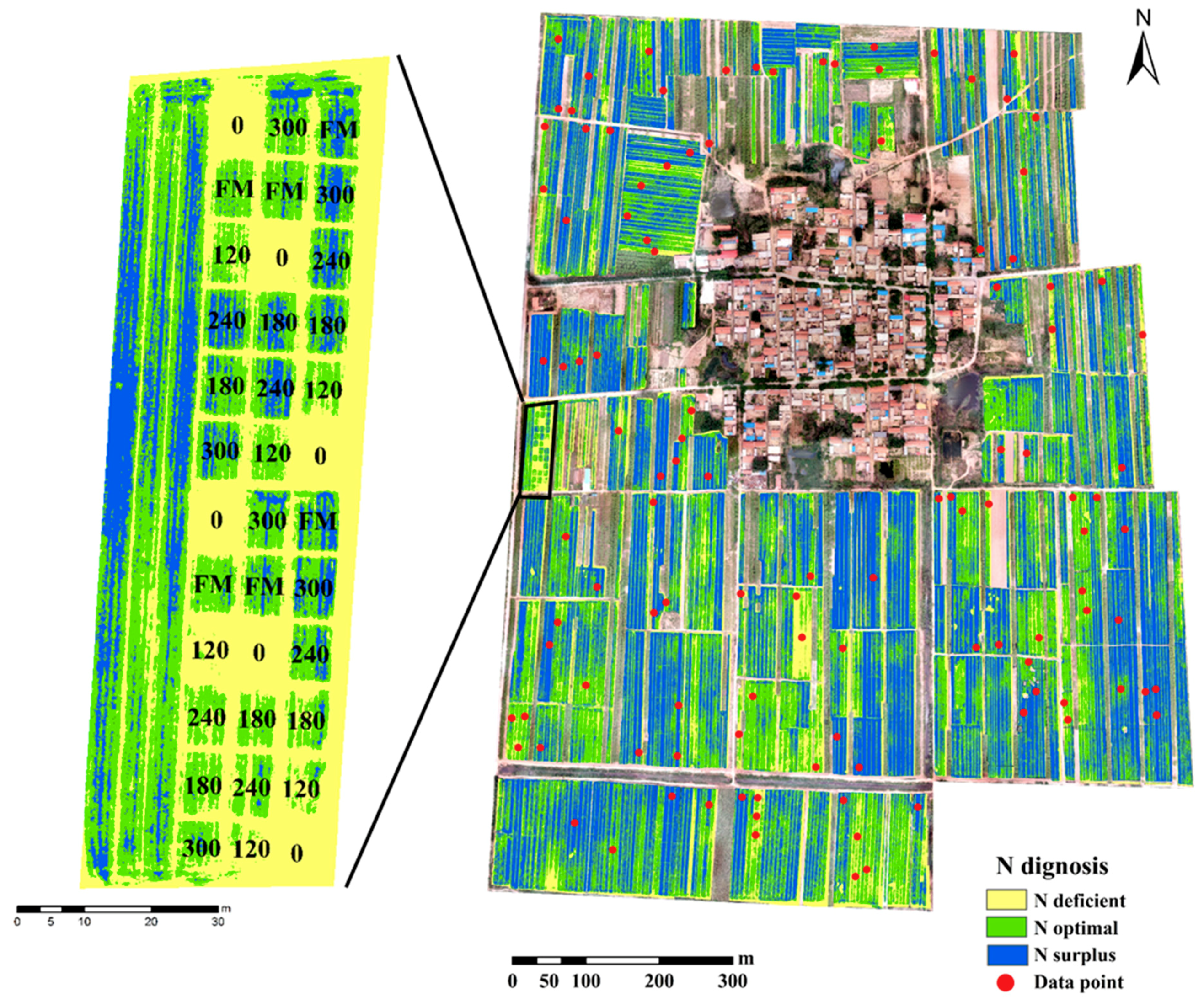 Agronomy 09 00619 g006