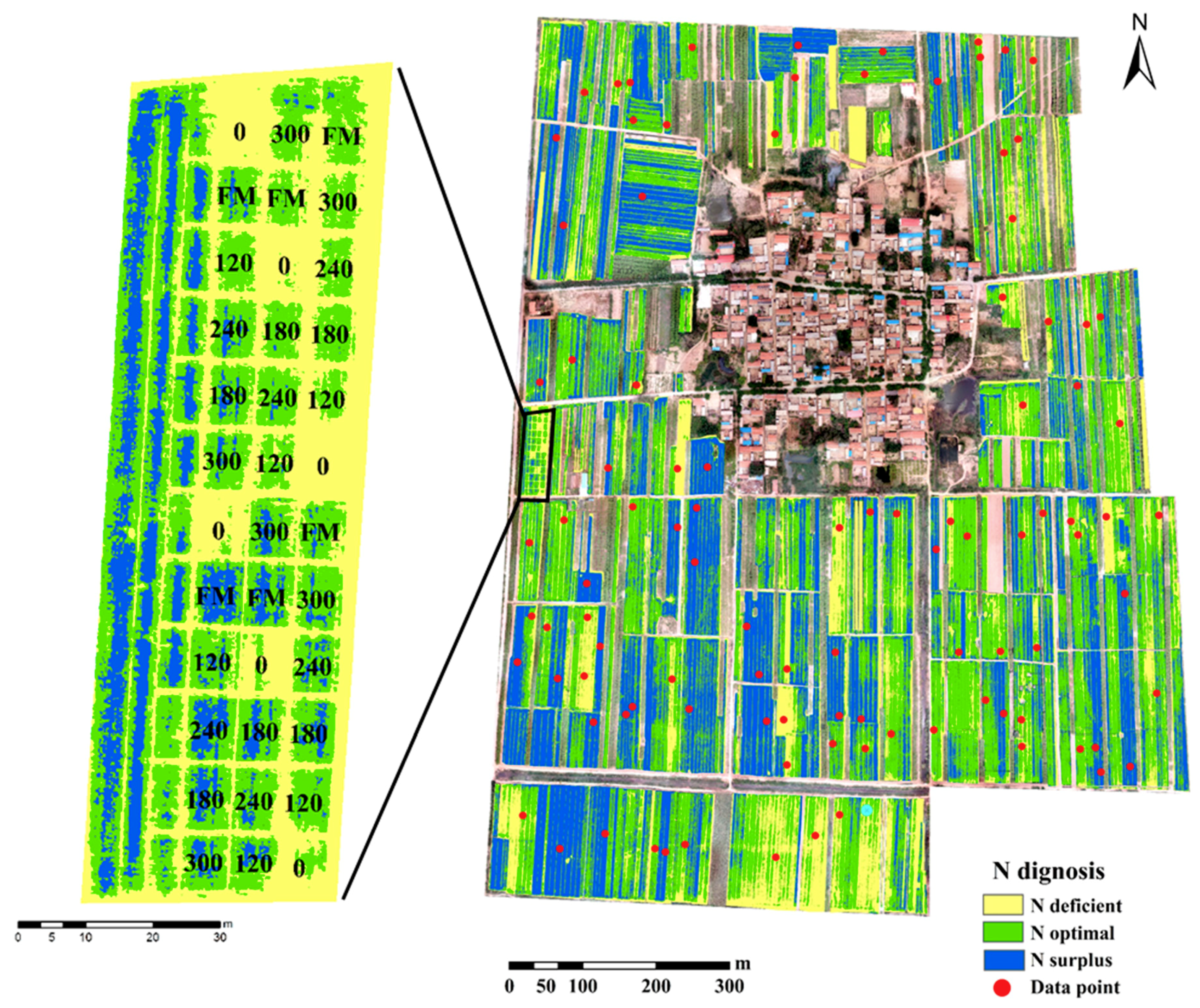 Agronomy 09 00619 g007