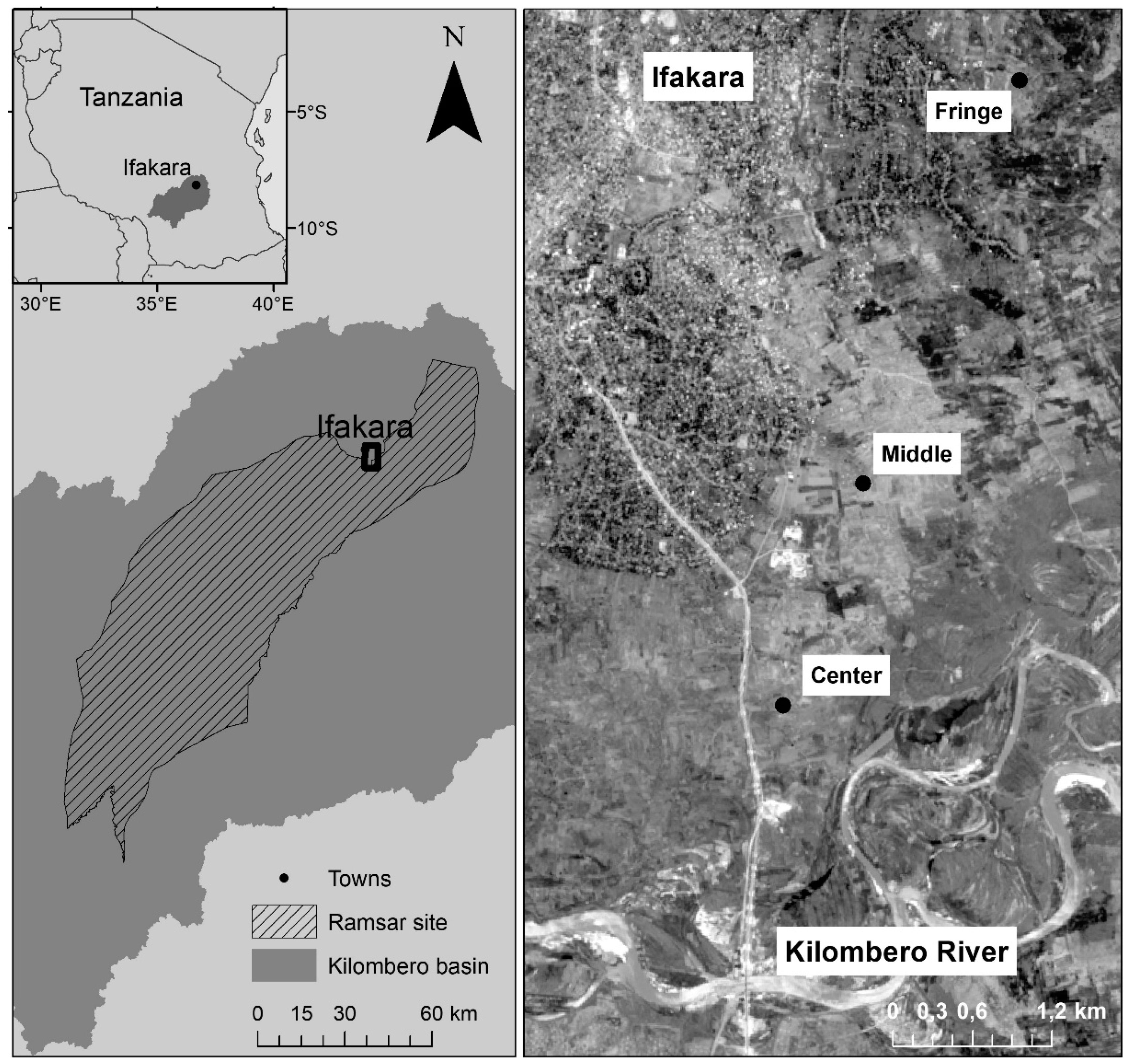 60 Km From My Location Agronomy | Free Full-Text | Site And Management Effects On Grain Yield And  Yield Variability Of Rainfed Lowland Rice In The Kilombero Floodplain Of  Tanzania | Html