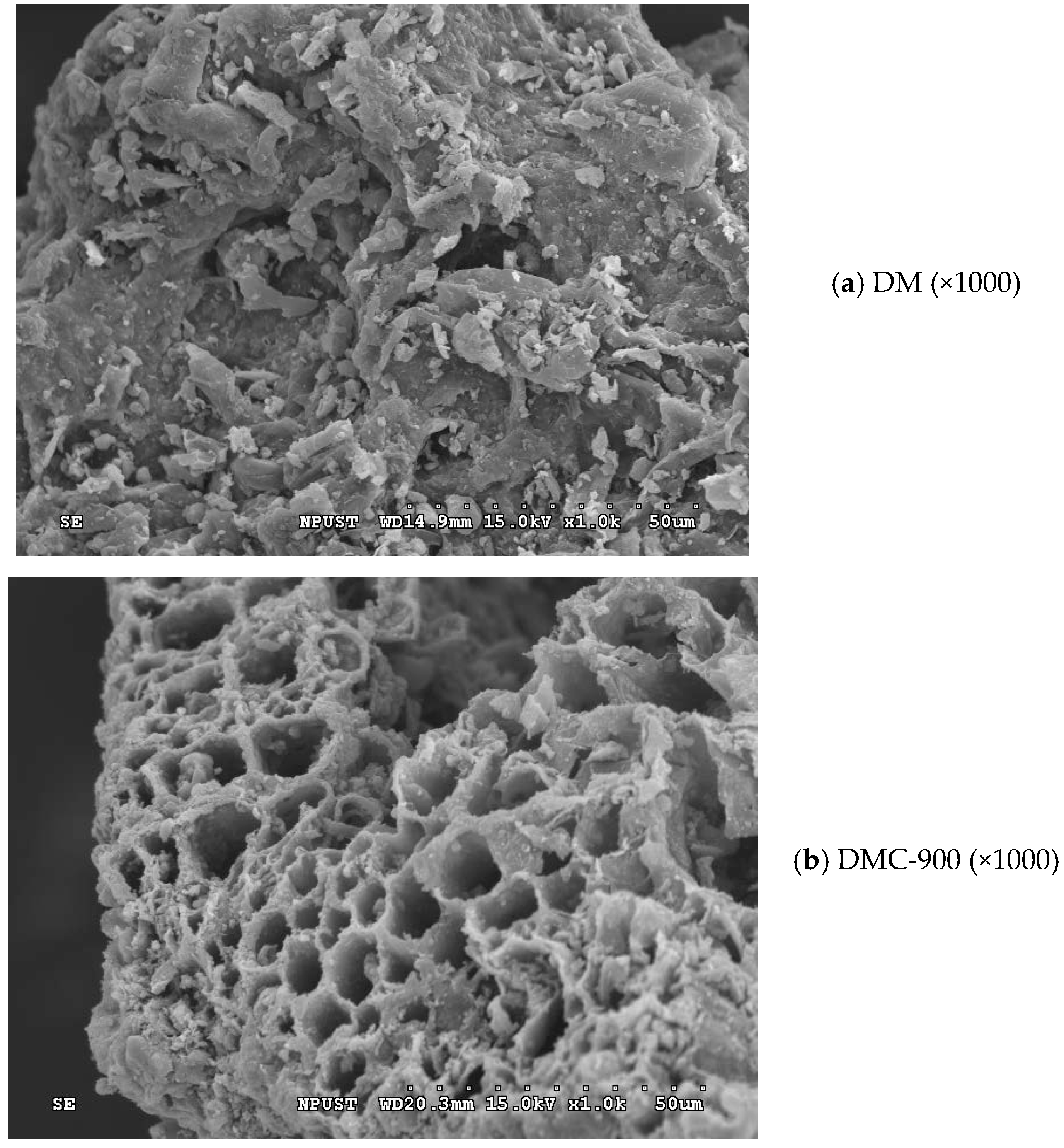 Agronomy 09 00634 g005