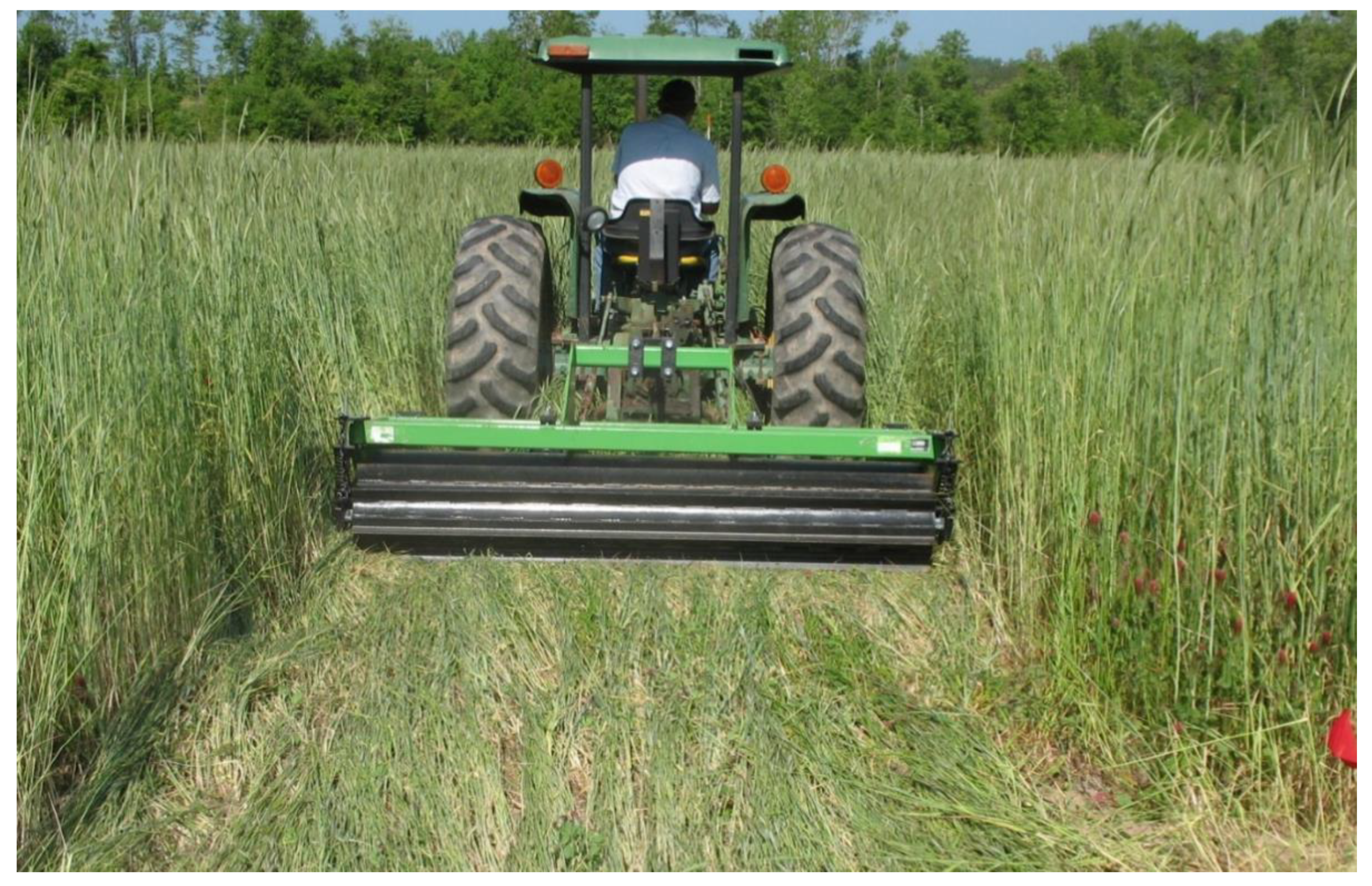 Agronomy 09 00640 g002