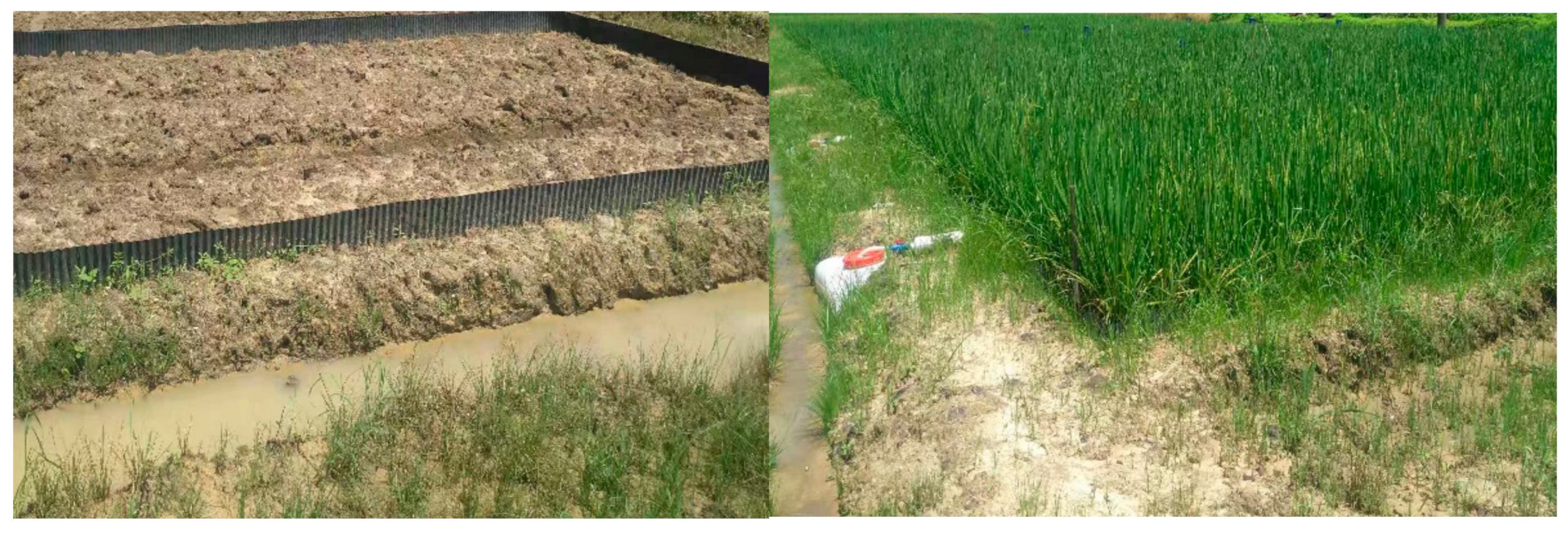 Agronomy 09 00641 g002 Agronomy 09 00641 g002