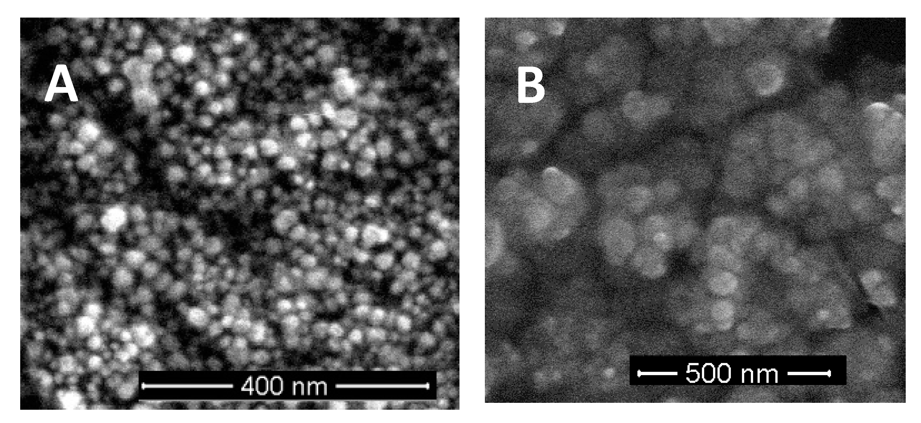 Agronomy 09 00643 g001