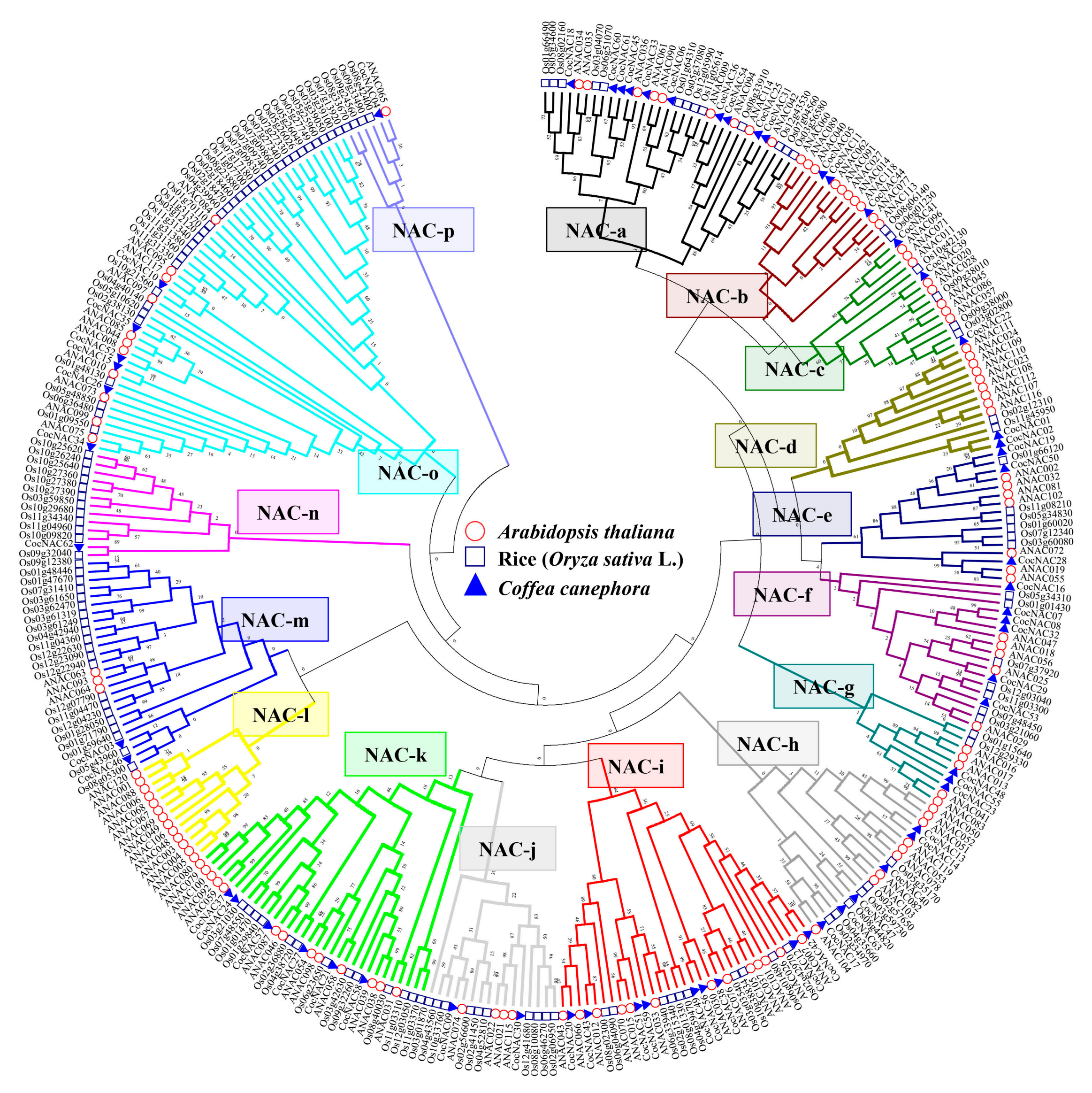 Agronomy 09 00670 g003 Agronomy 09 00670 g003