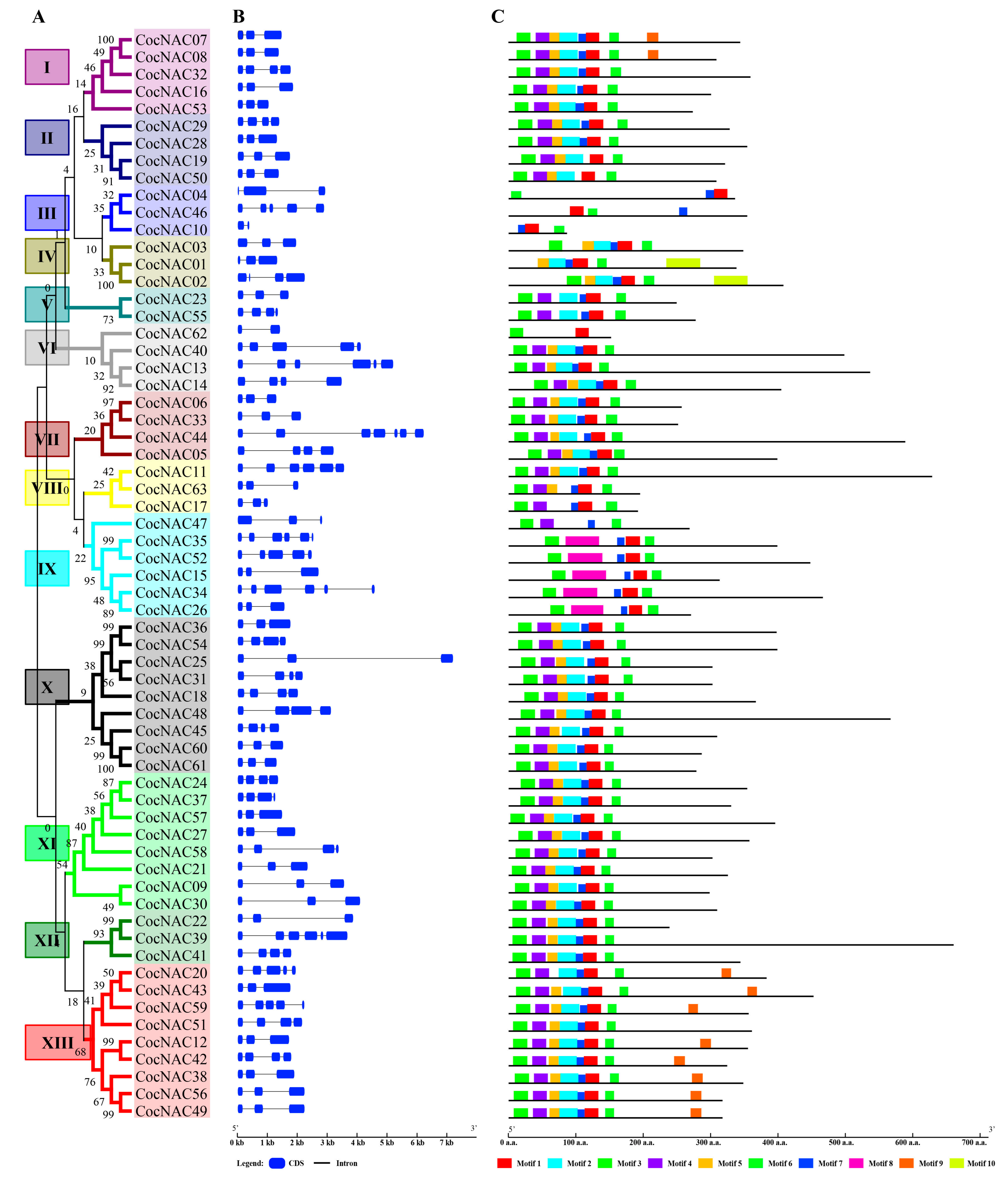 Agronomy 09 00670 g004 Agronomy 09 00670 g004