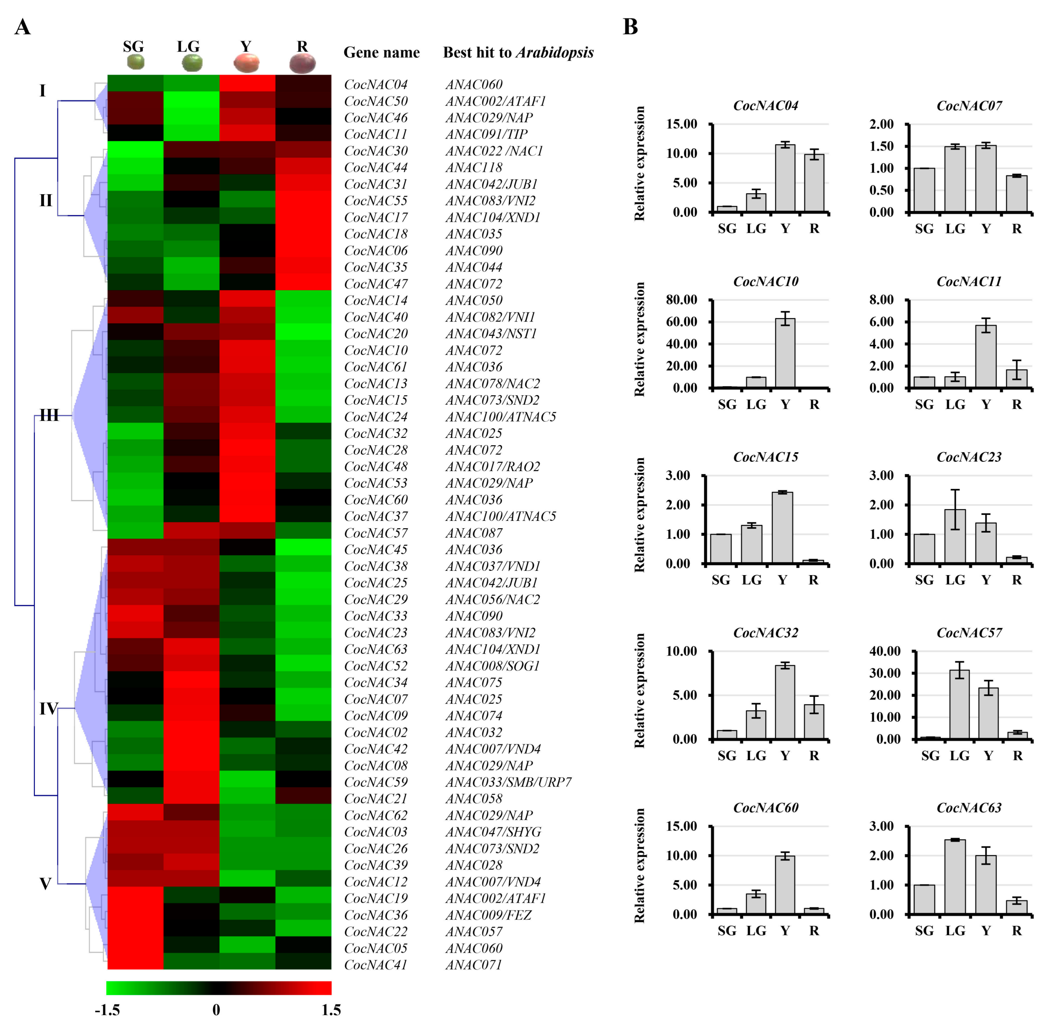 Agronomy 09 00670 g006 Agronomy 09 00670 g006