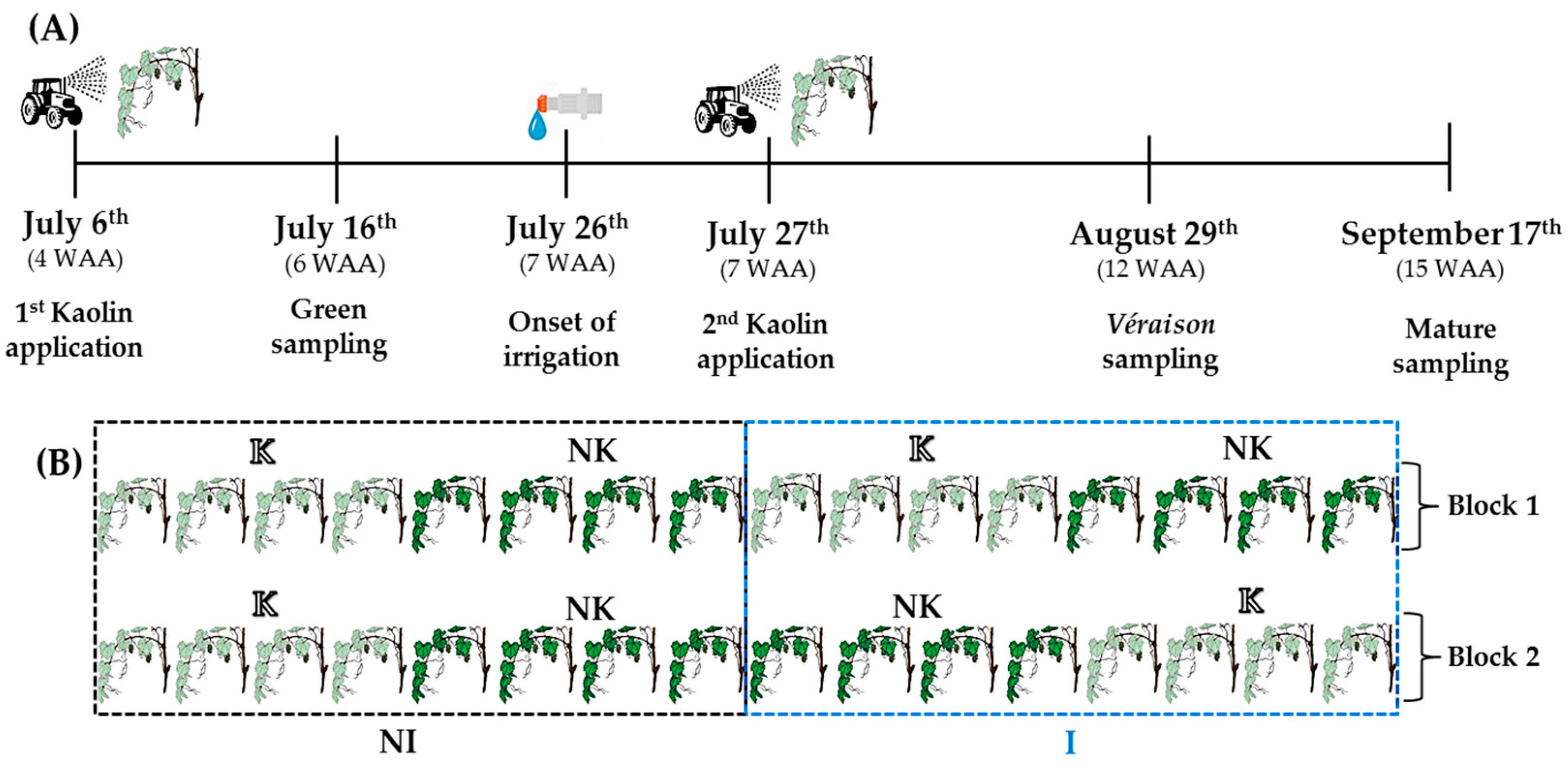 Agronomy 09 00685 g001 Agronomy 09 00685 g001