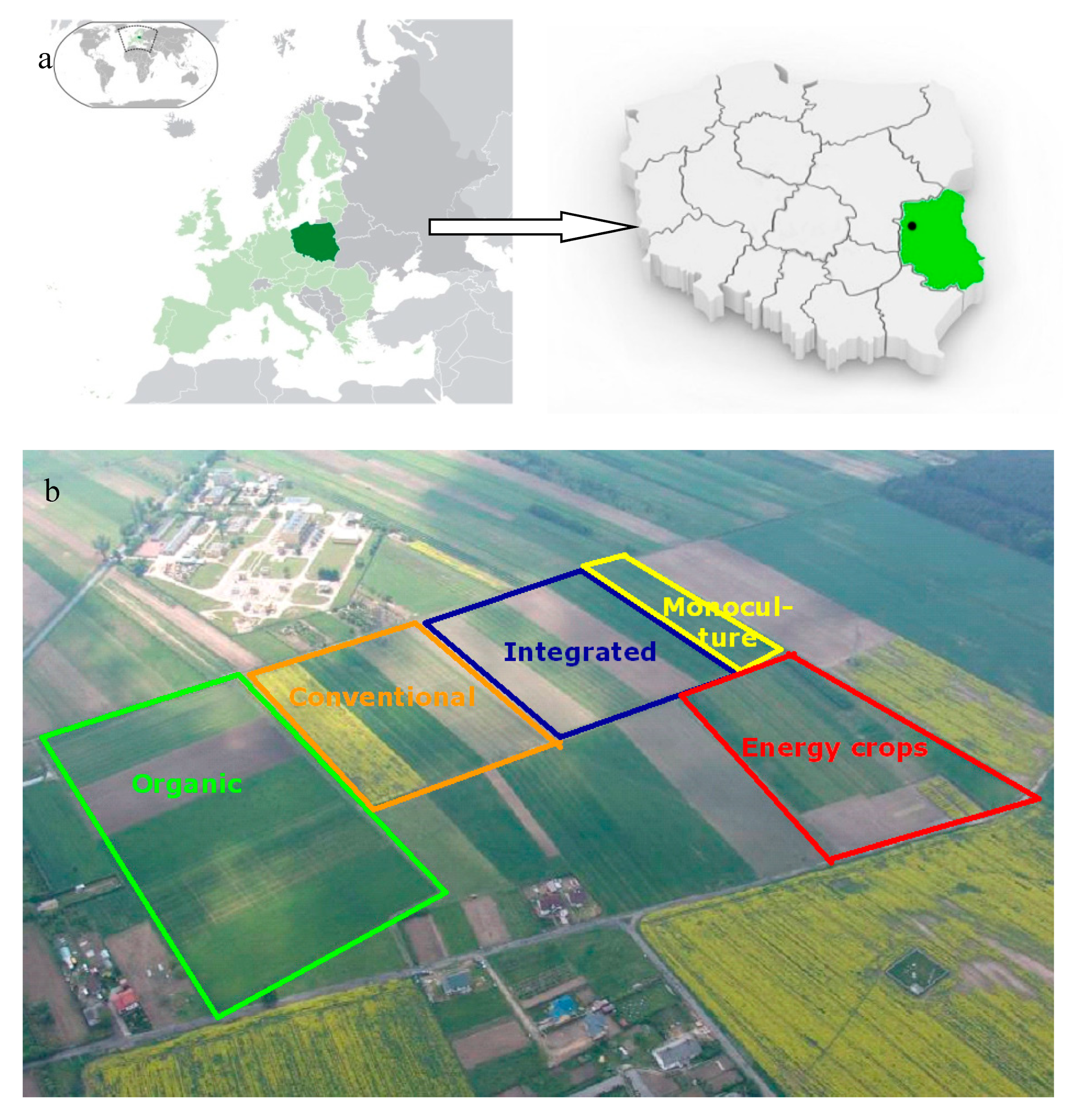 Agronomy 09 00695 g001