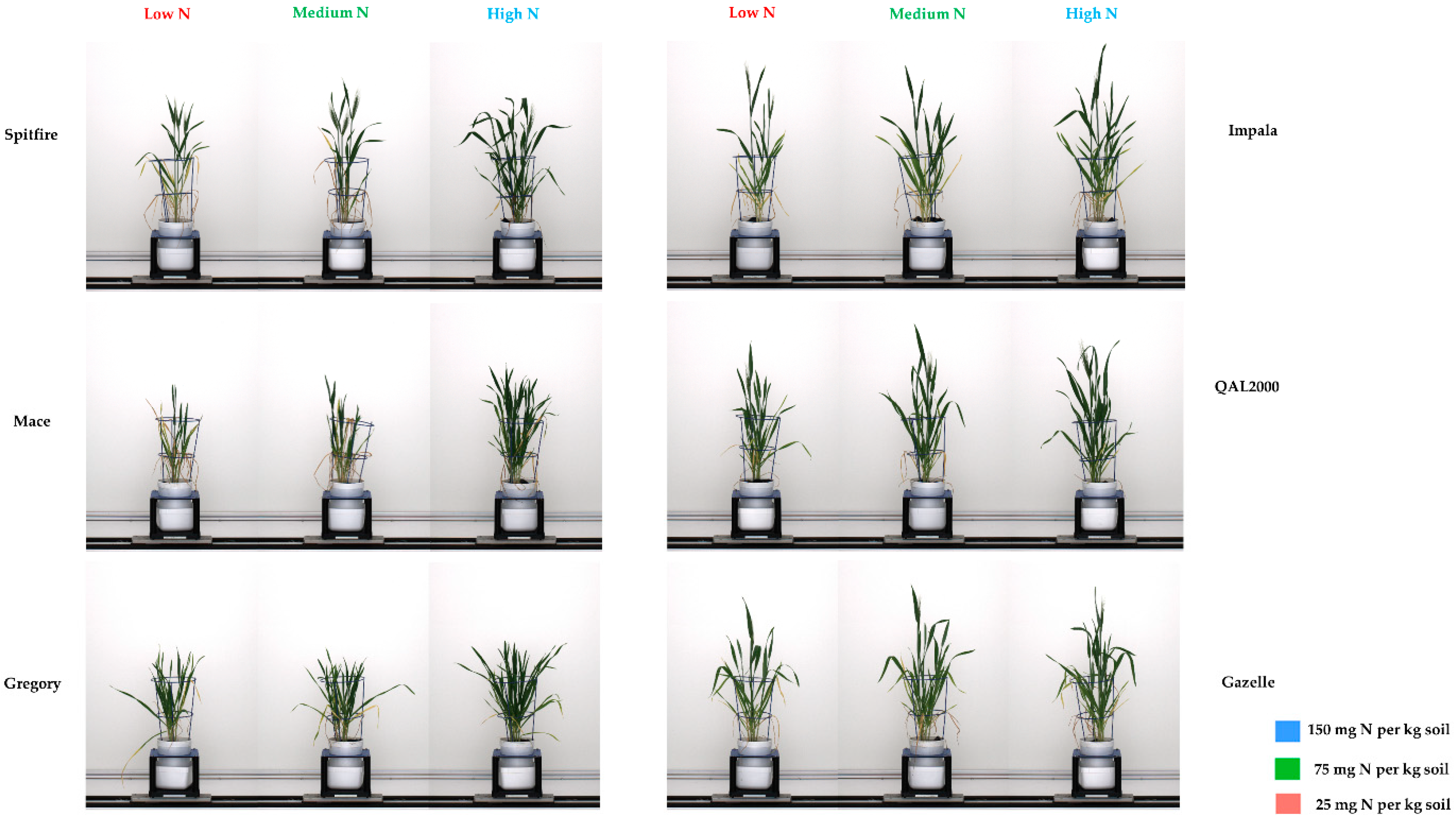 Agronomy 09 00706 g002