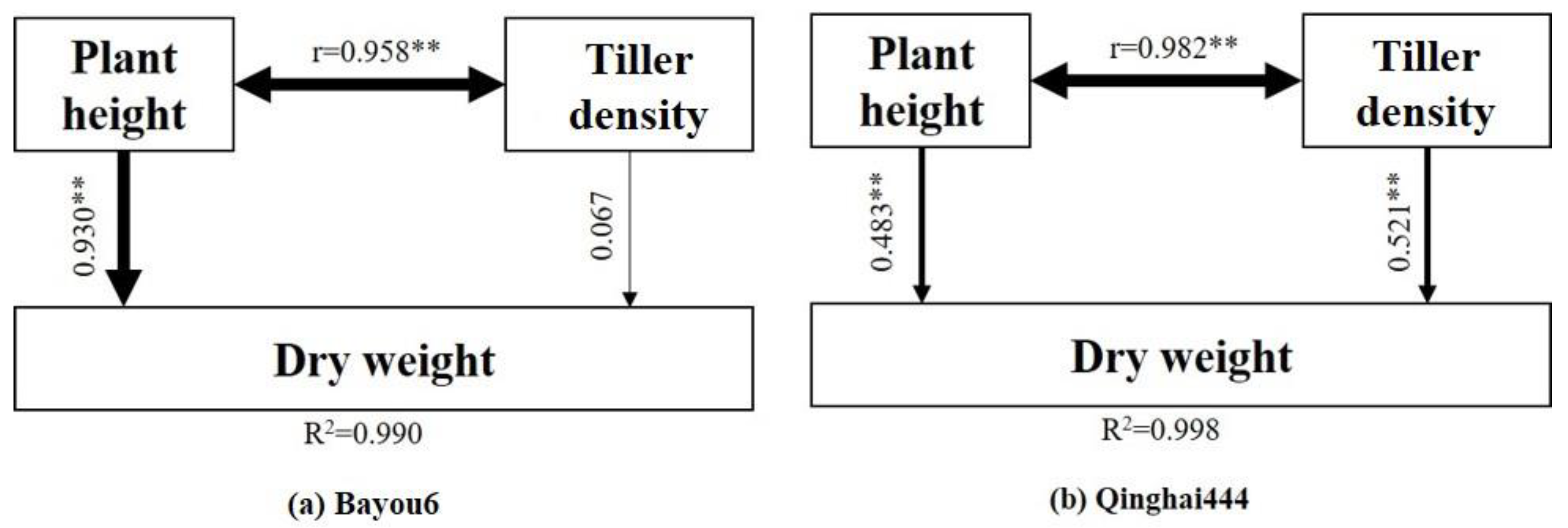 Agronomy 09 00721 g007 Agronomy 09 00721 g007