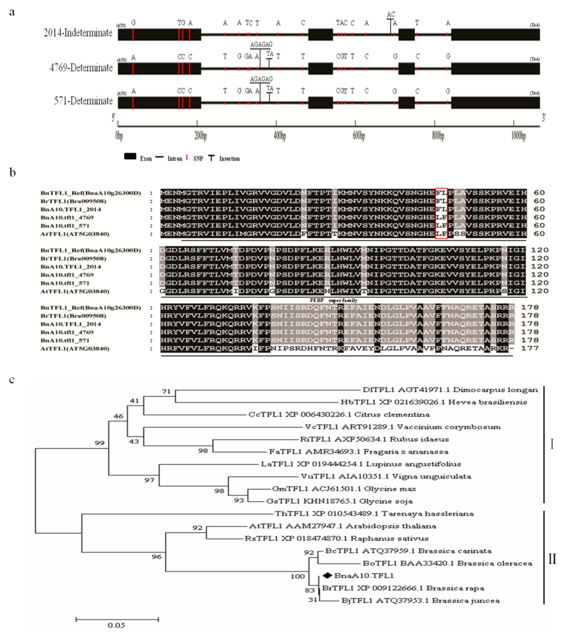 Agronomy 09 00722 g003