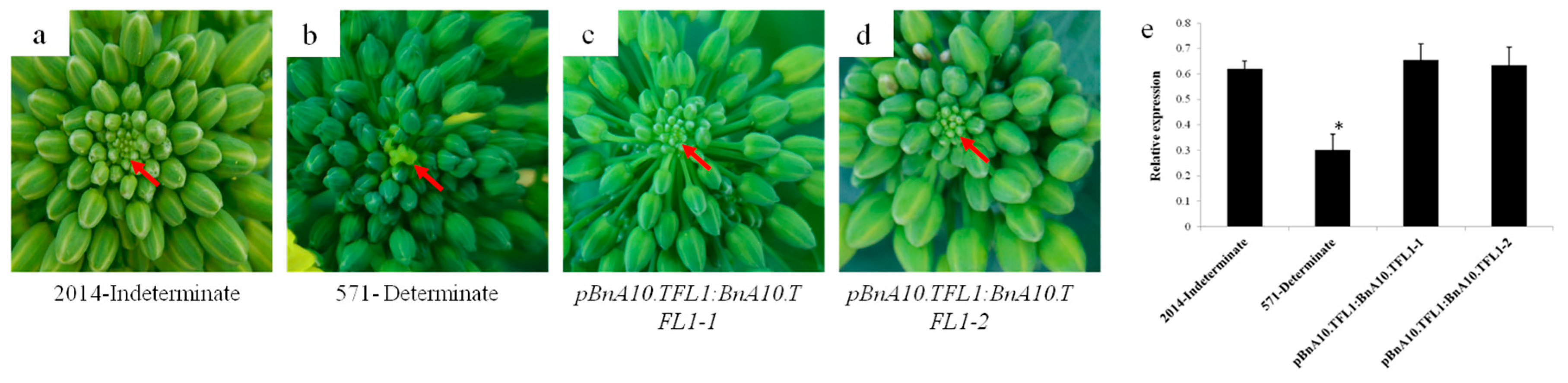 Agronomy 09 00722 g005