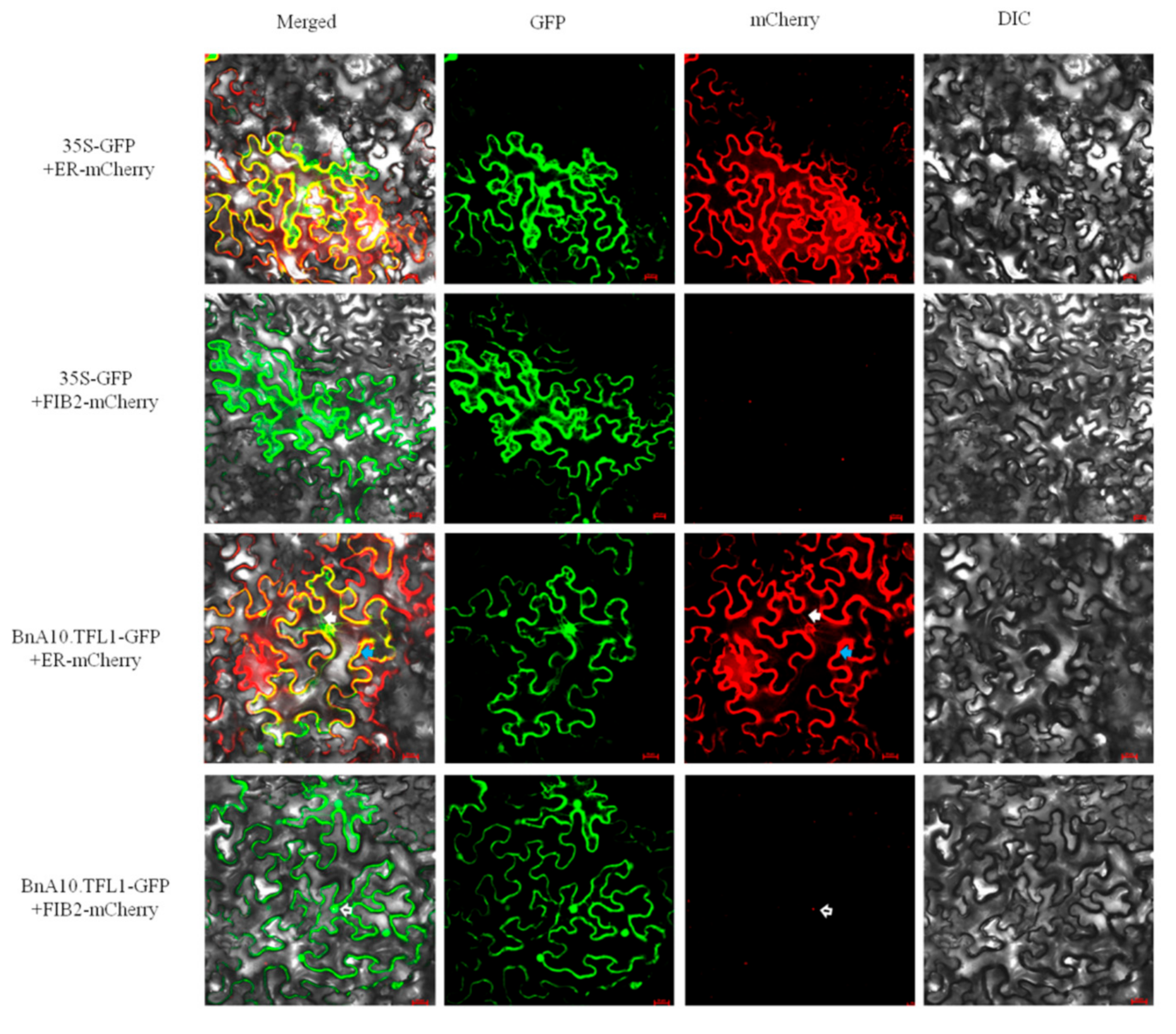 Agronomy 09 00722 g006