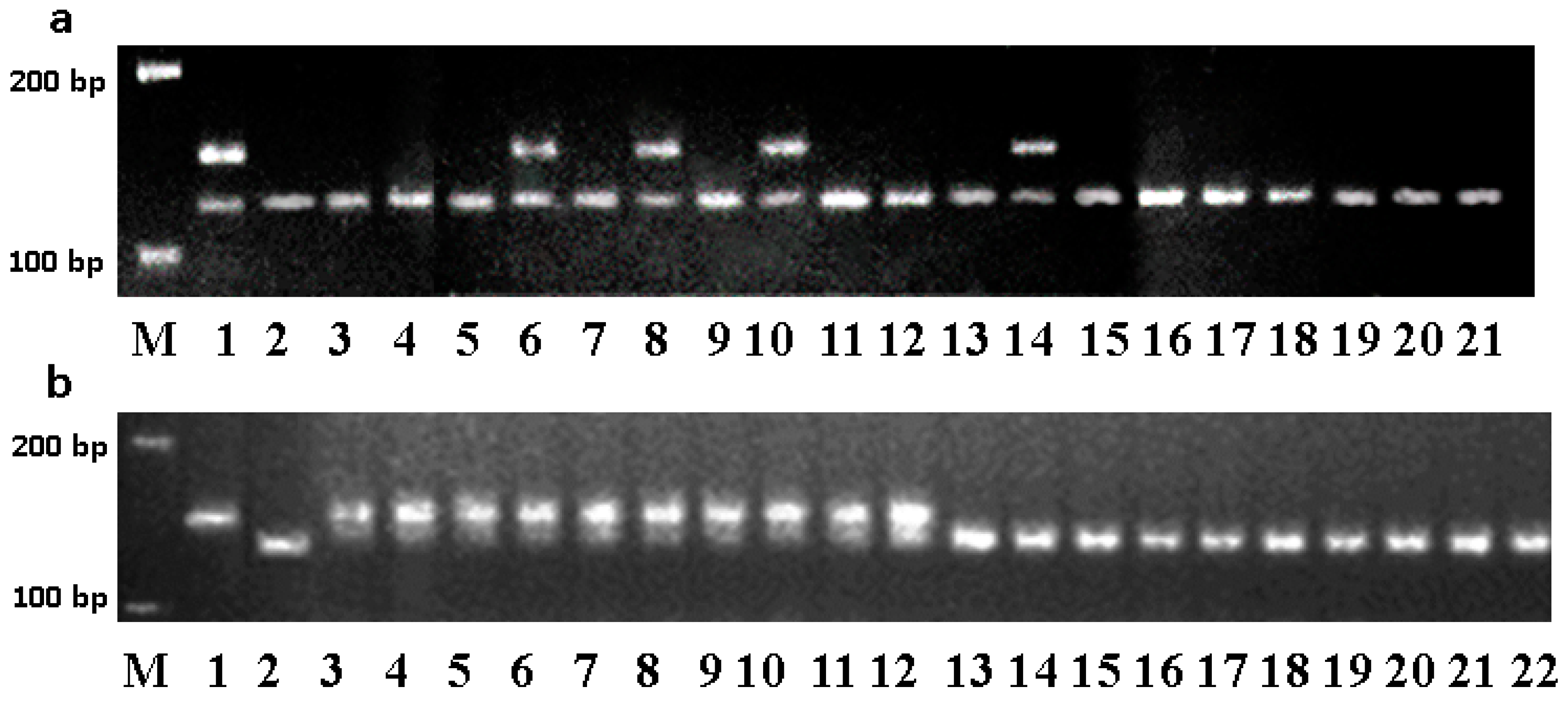 Agronomy 09 00723 g0a2 Agronomy 09 00723 g0a2