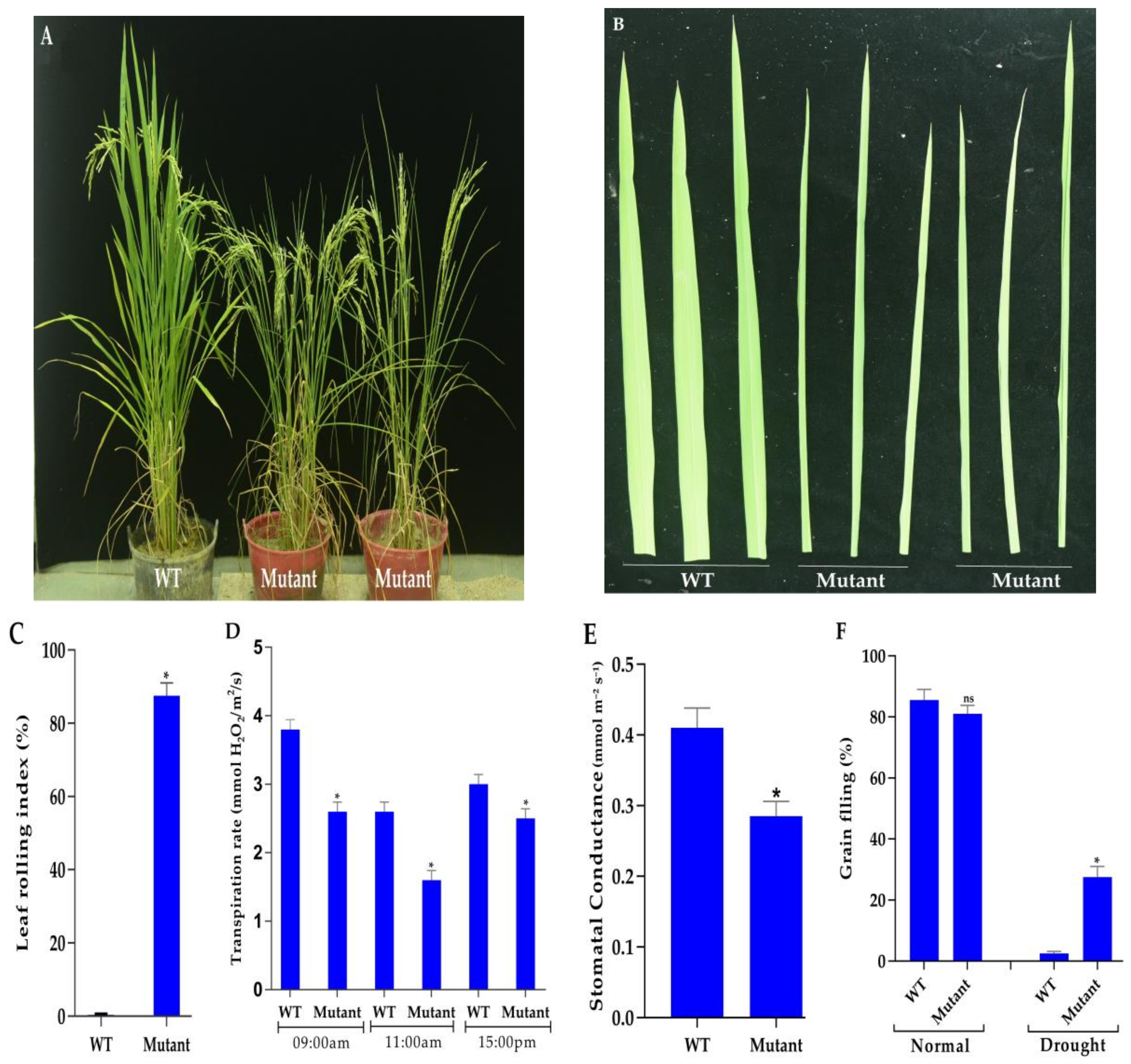 Agronomy 09 00728 g003 Agronomy 09 00728 g003