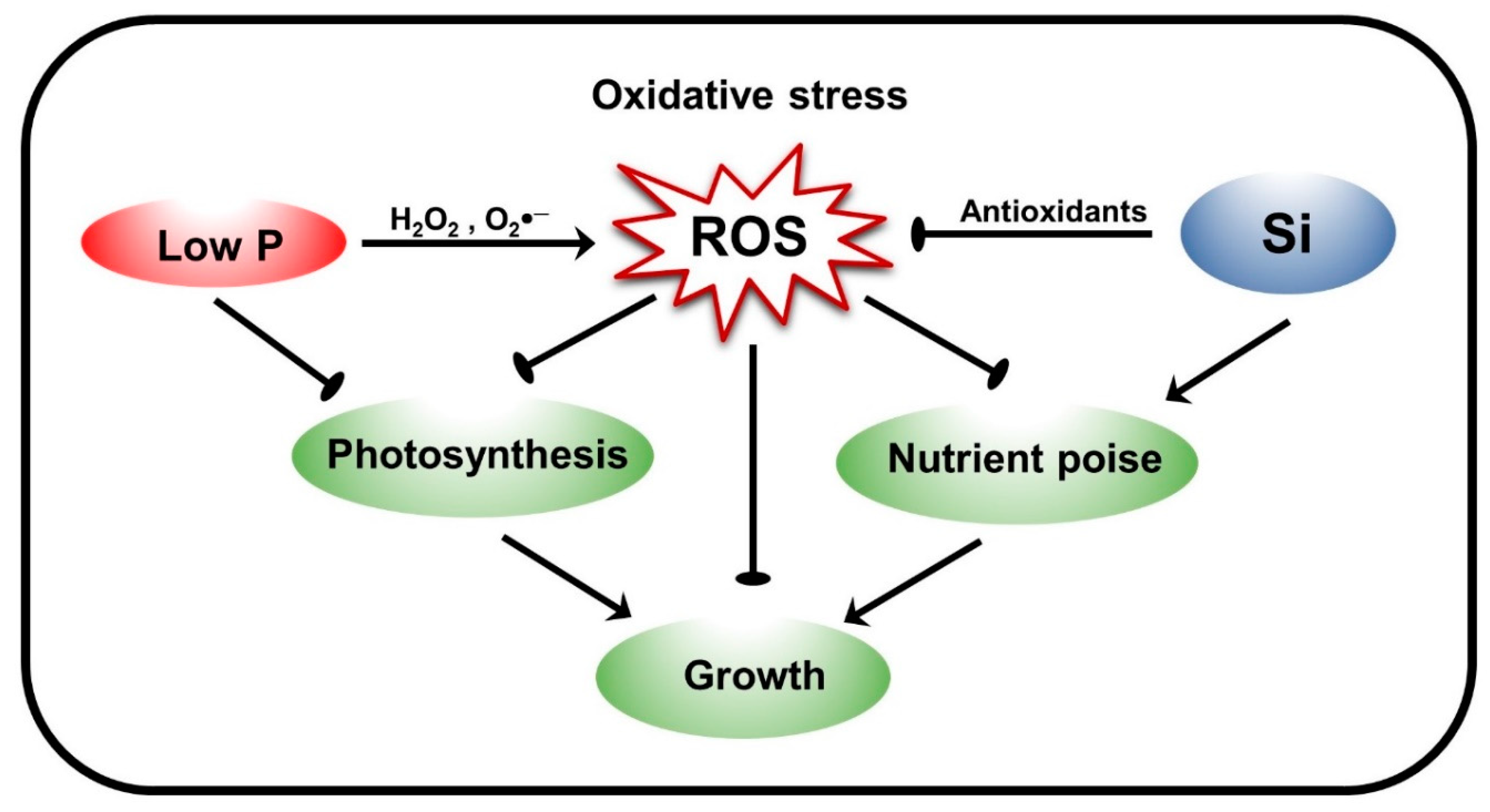 Agronomy 09 00733 g006 Agronomy 09 00733 g006