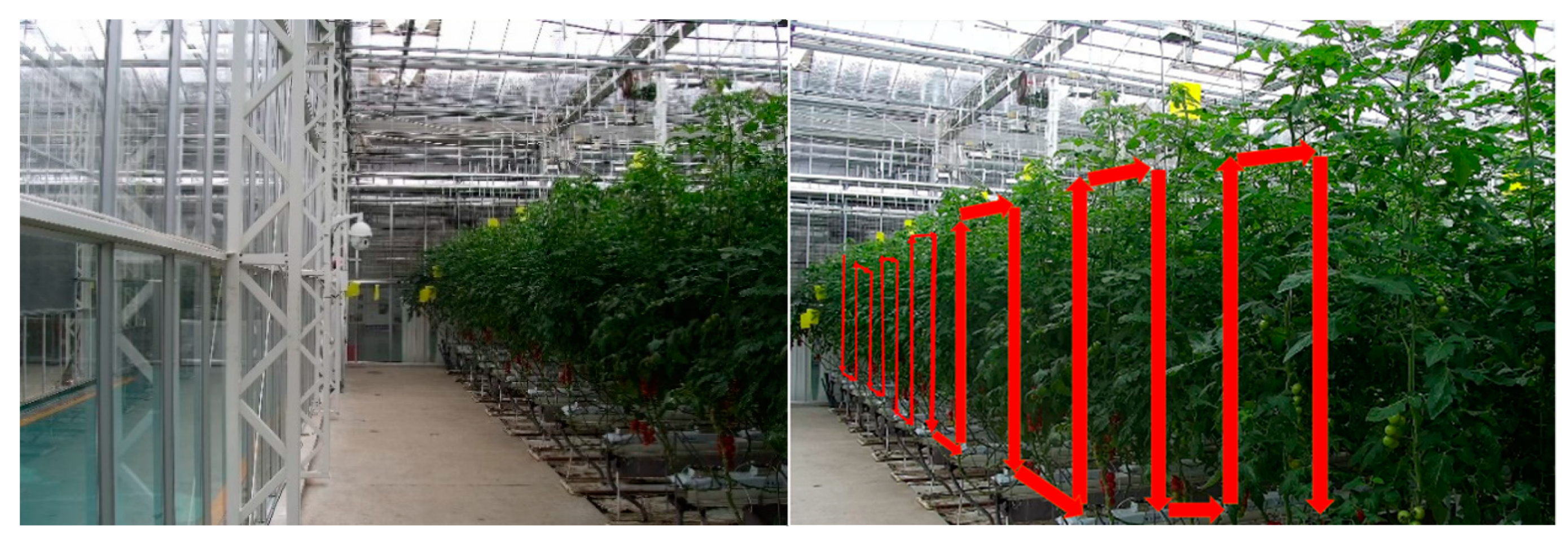 Agronomy 09 00737 g001