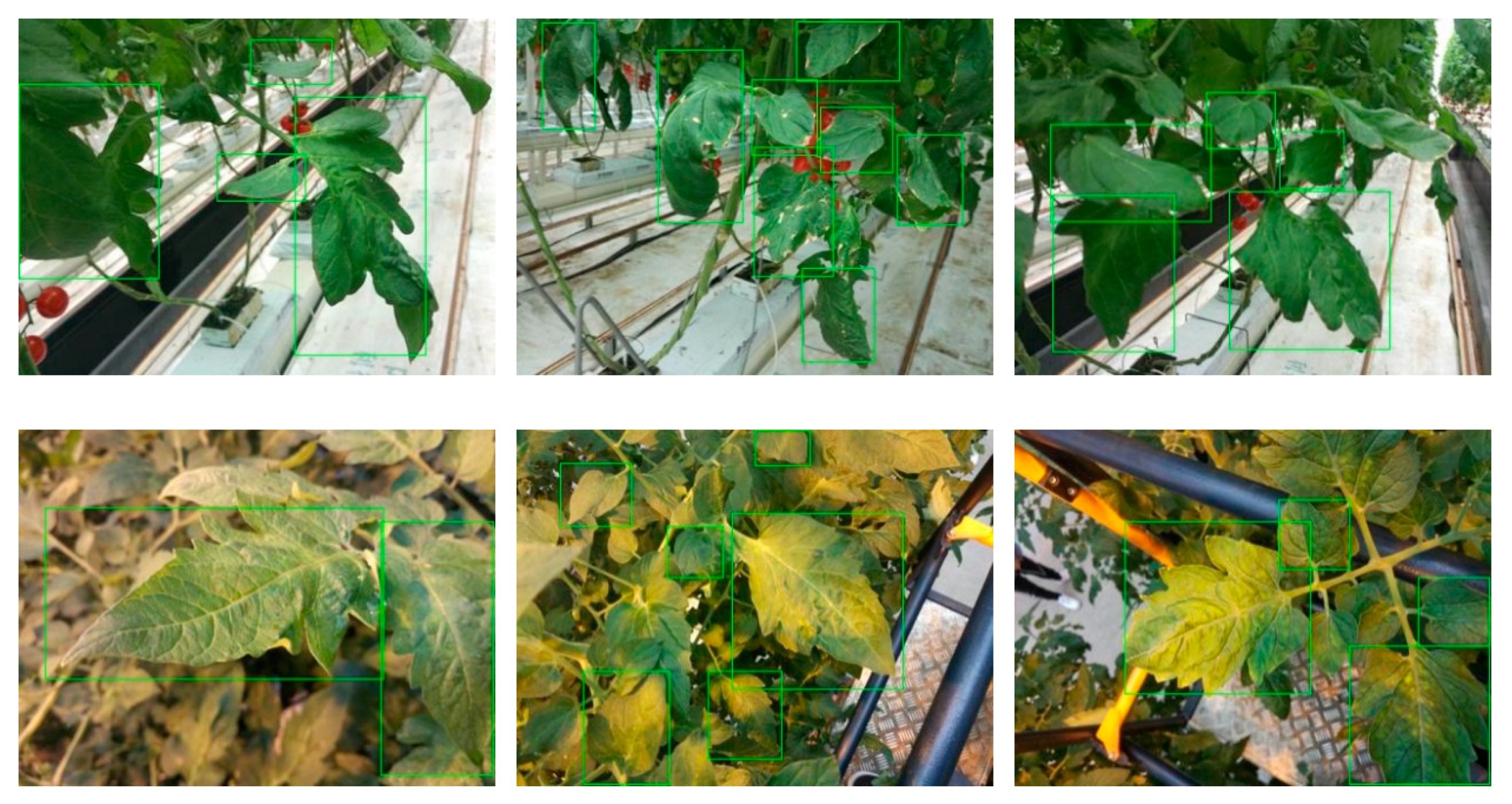 Agronomy 09 00737 g003