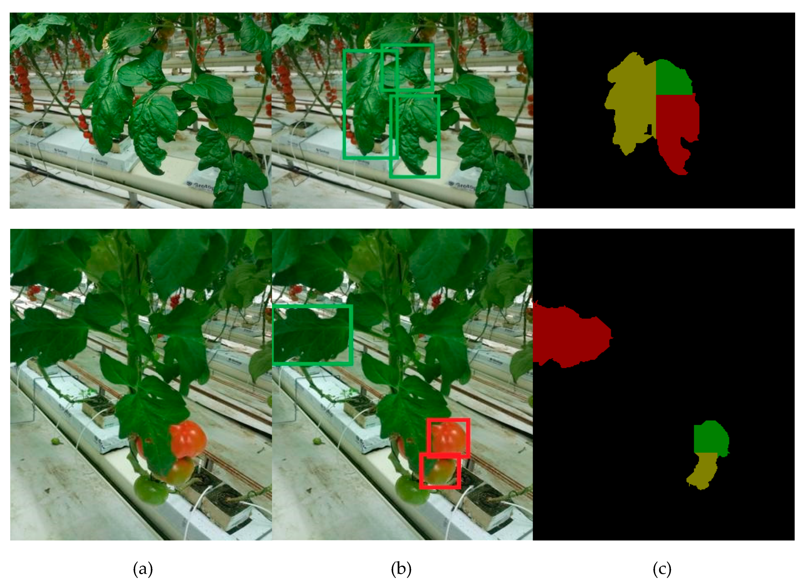 Agronomy 09 00737 g006