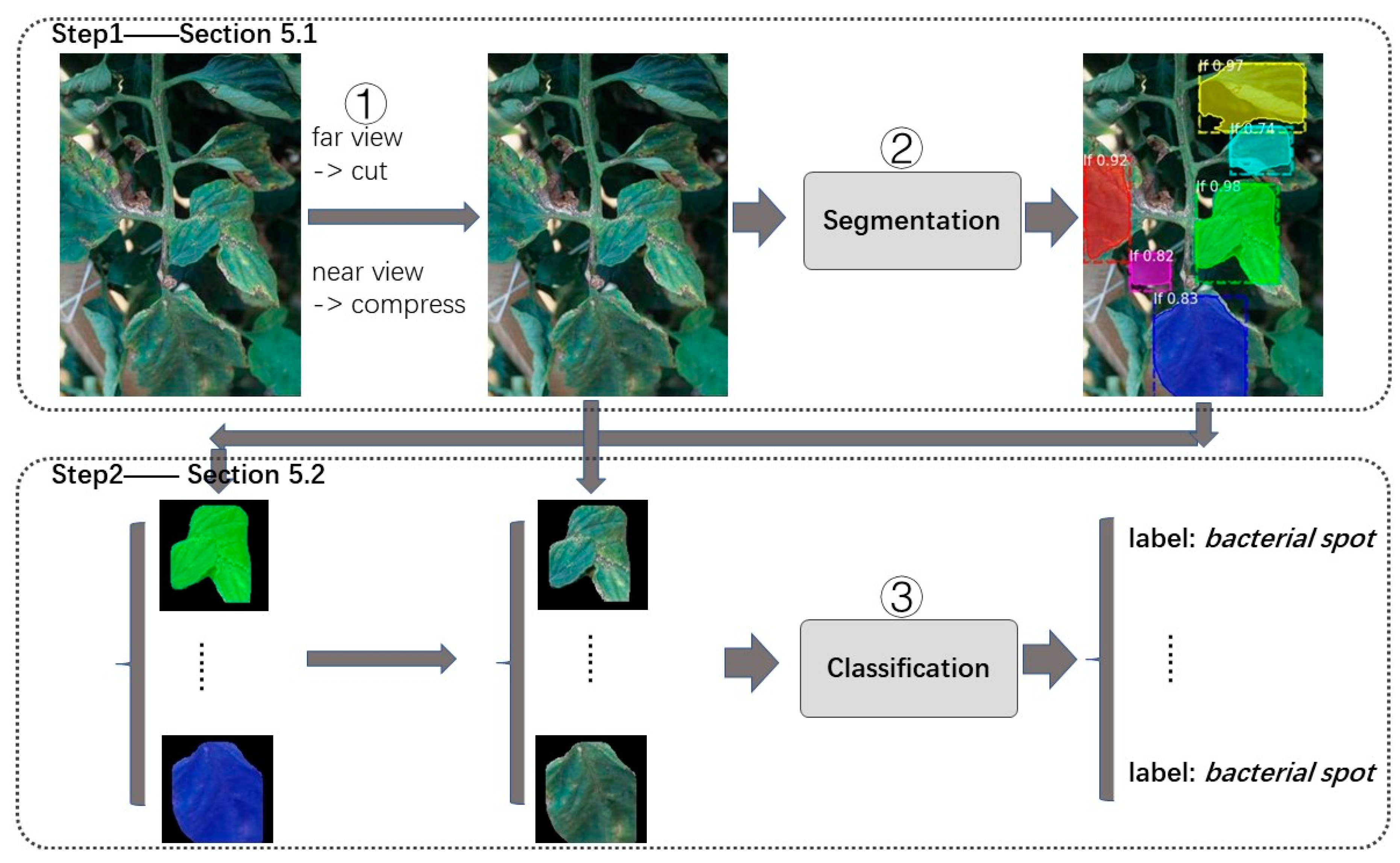 Agronomy 09 00737 g013