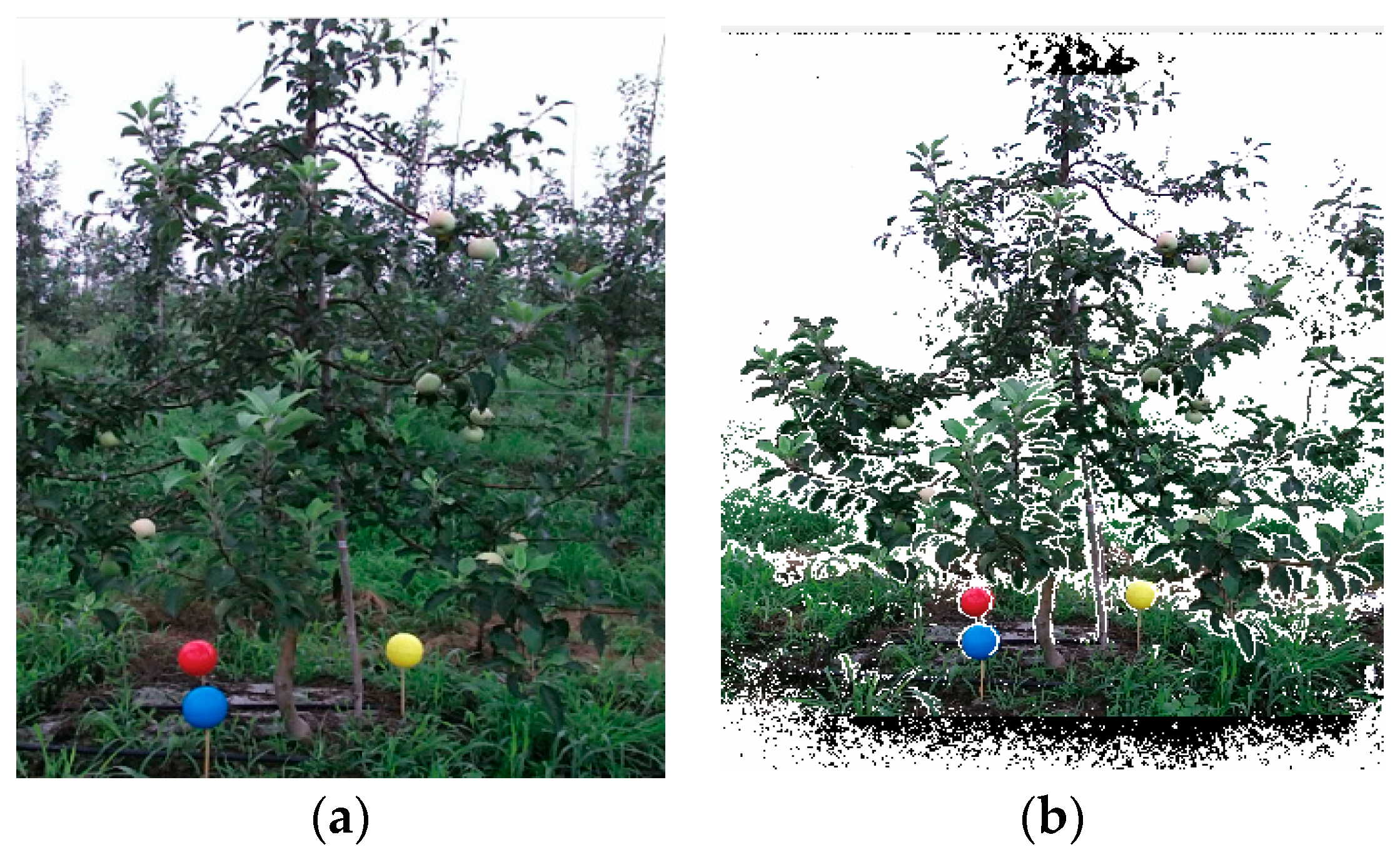 Agronomy 09 00741 g001 Agronomy 09 00741 g001