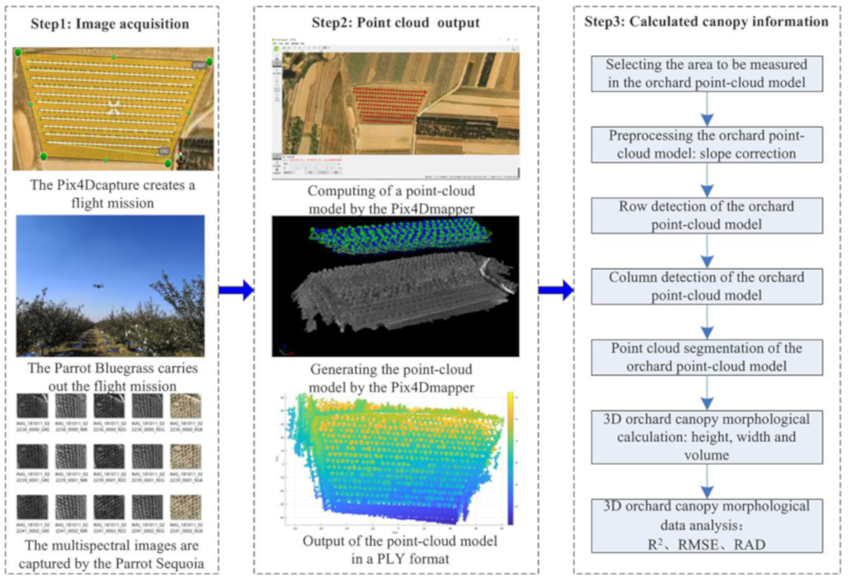 Agronomy 09 00774 g001 550