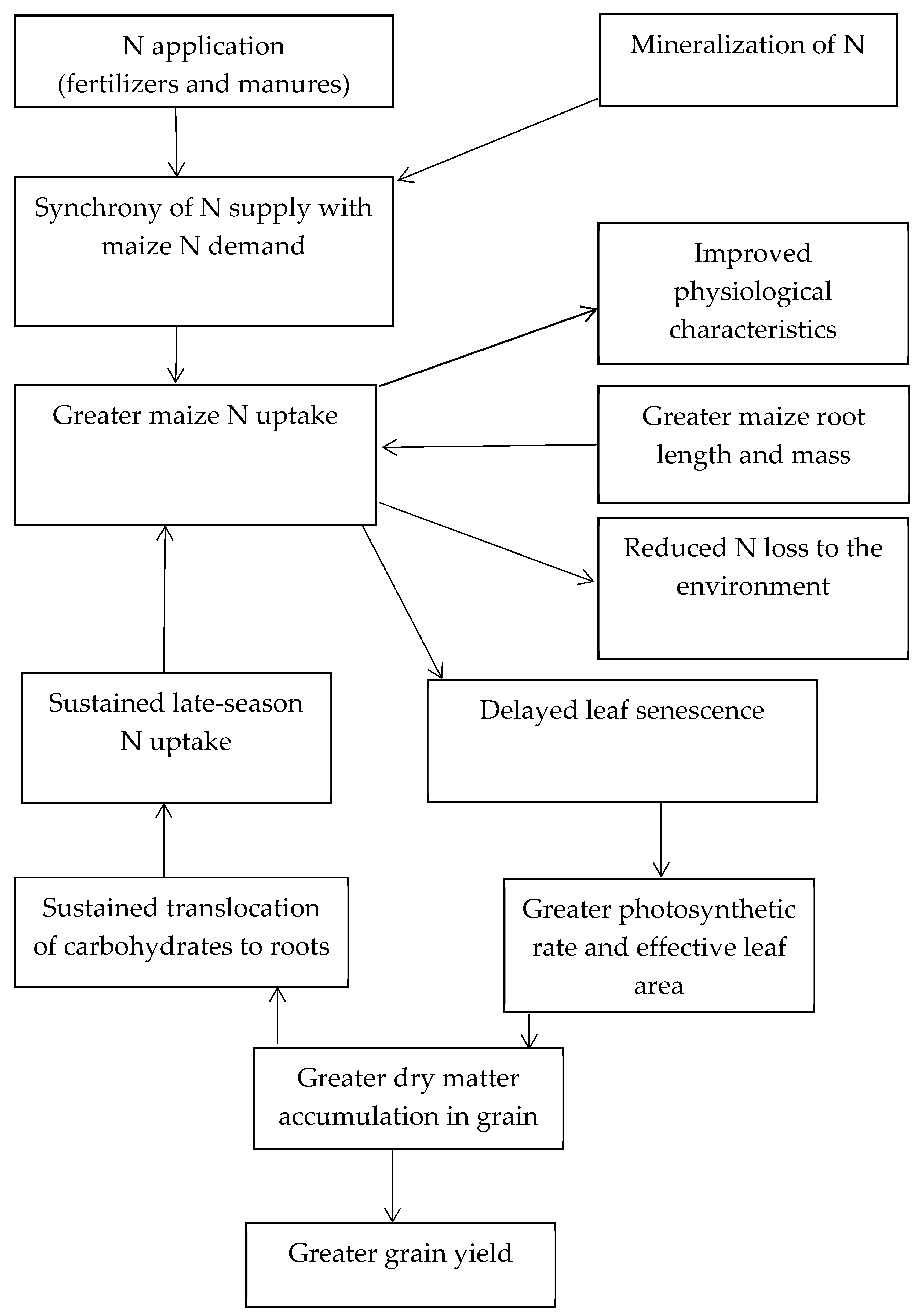 Agronomy 09 00775 g001