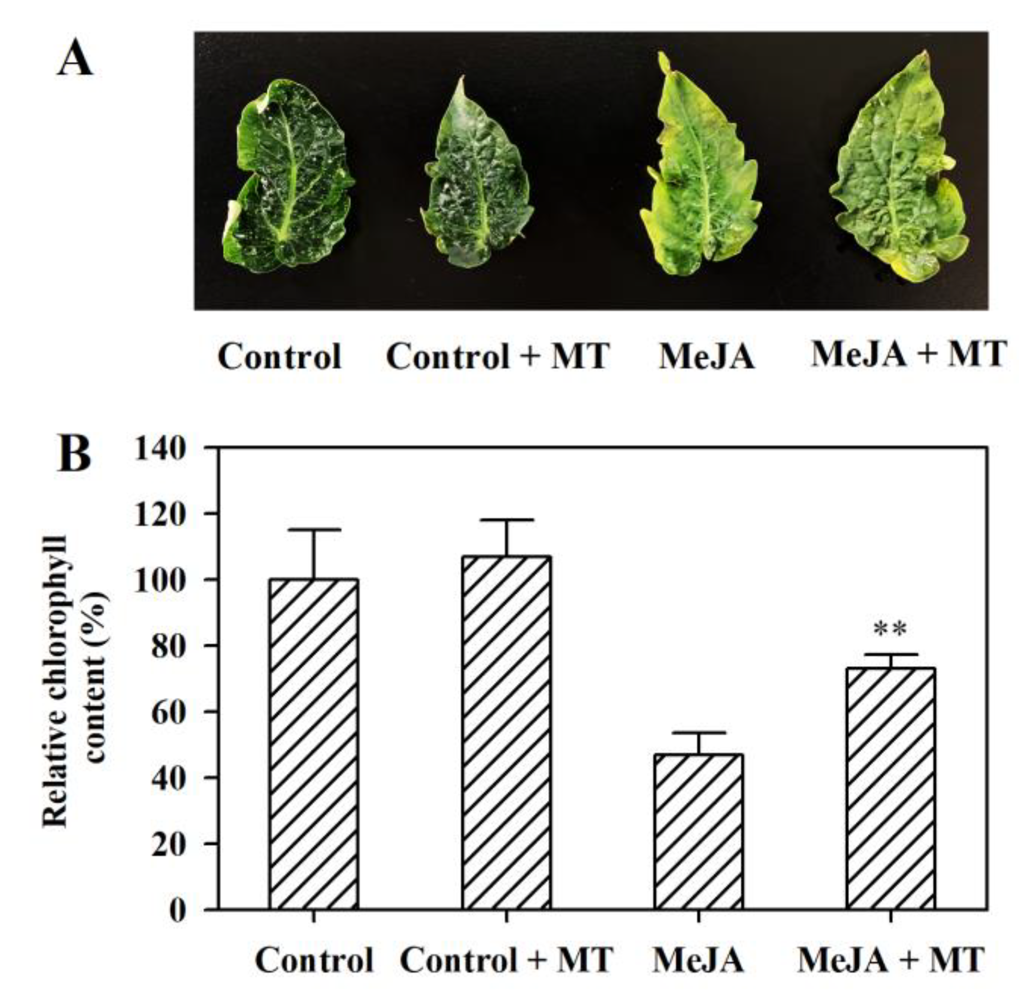 Agronomy 09 00795 g001 Agronomy 09 00795 g001