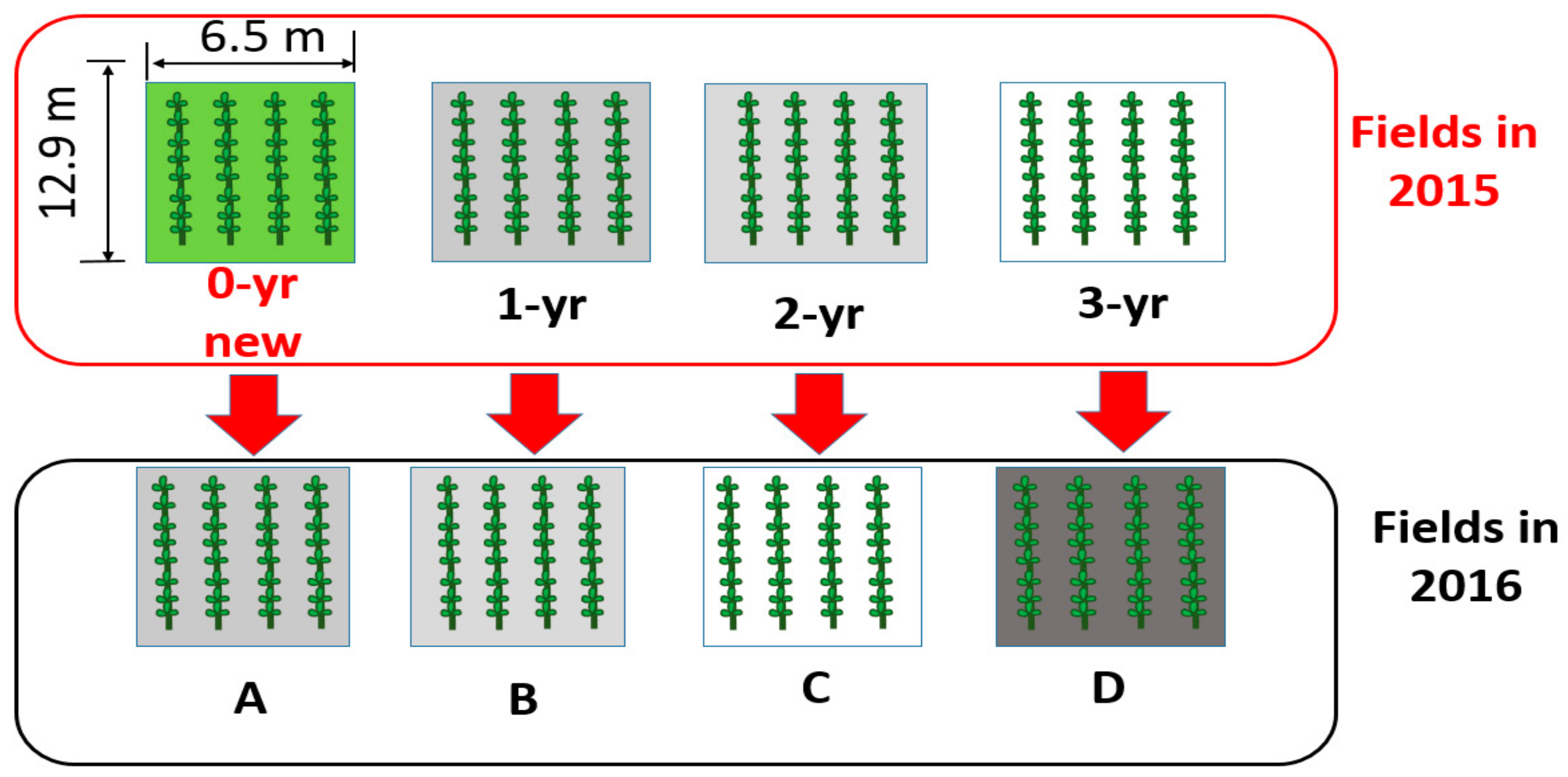Agronomy 09 00801 g001