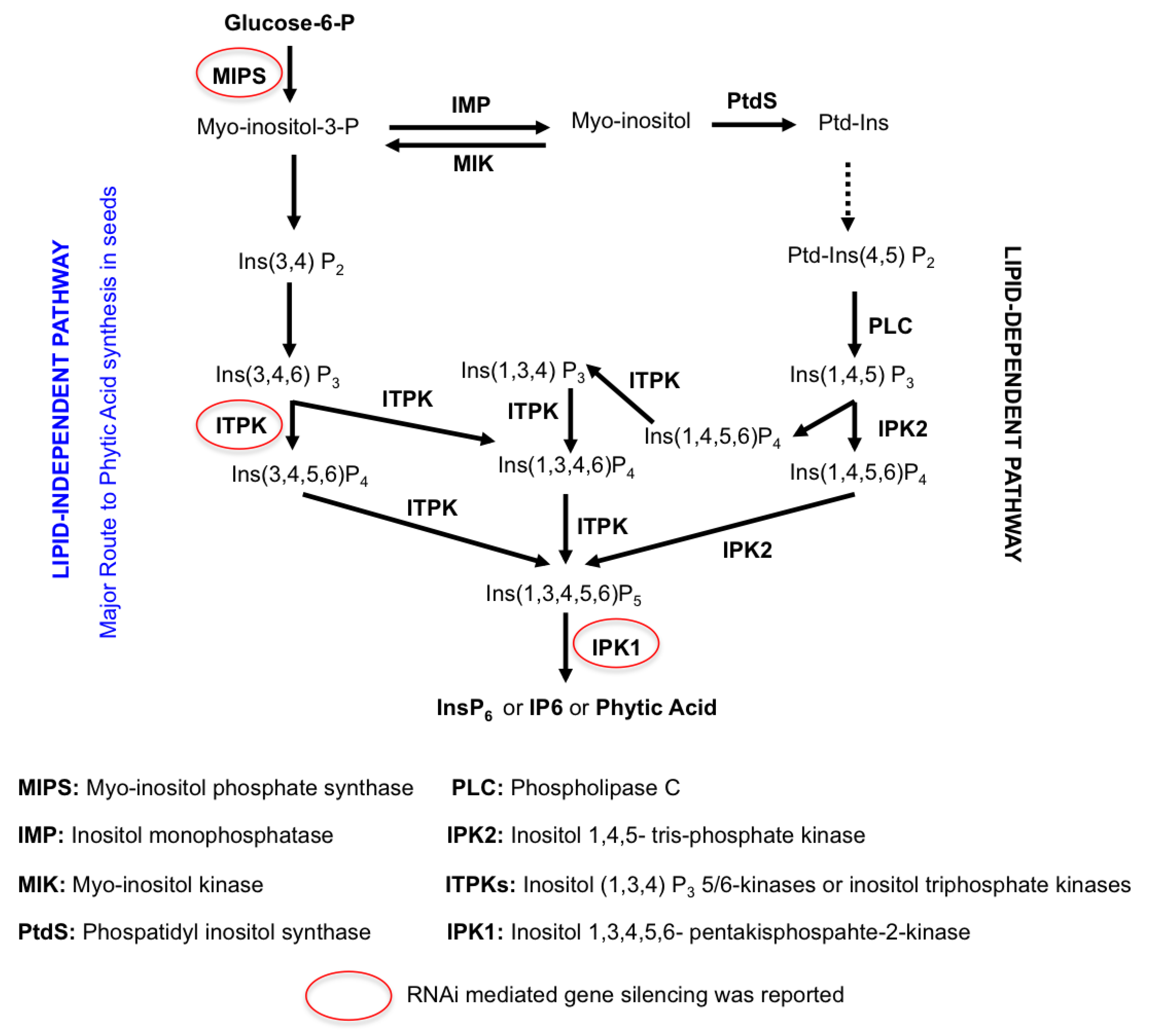 Agronomy 09 00803 g004