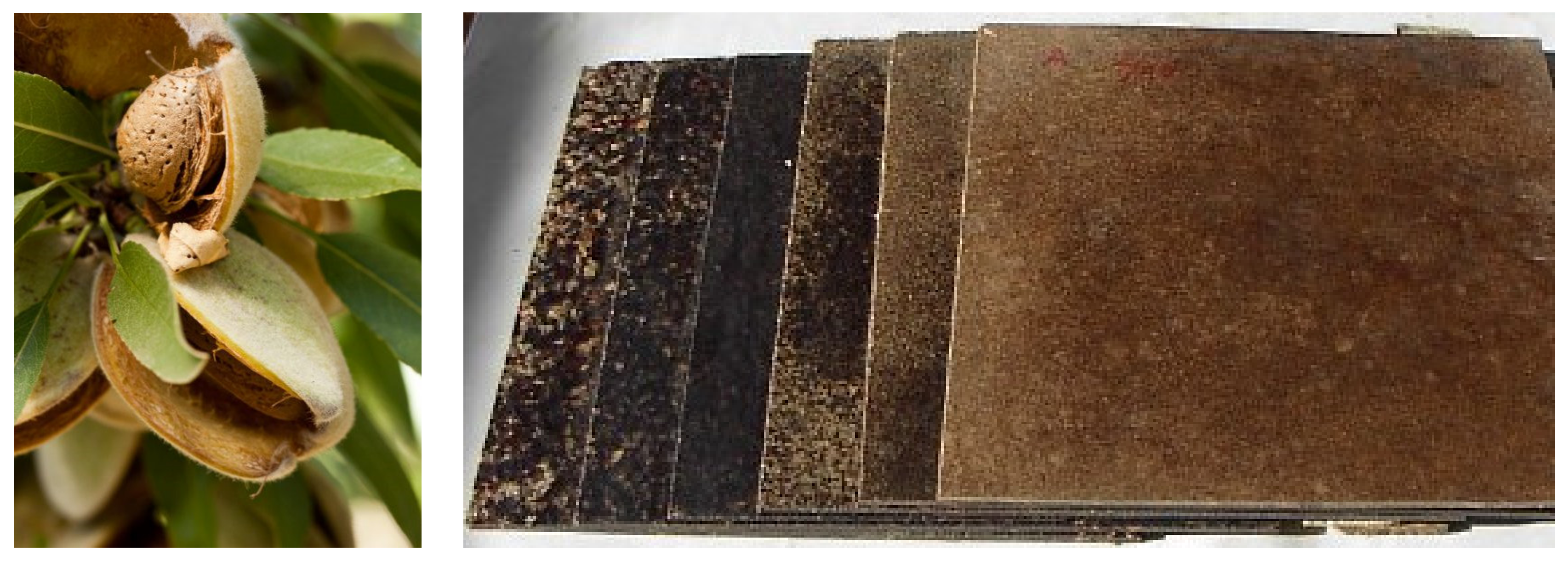 Agronomy 09 00811 g001 Agronomy 09 00811 g001