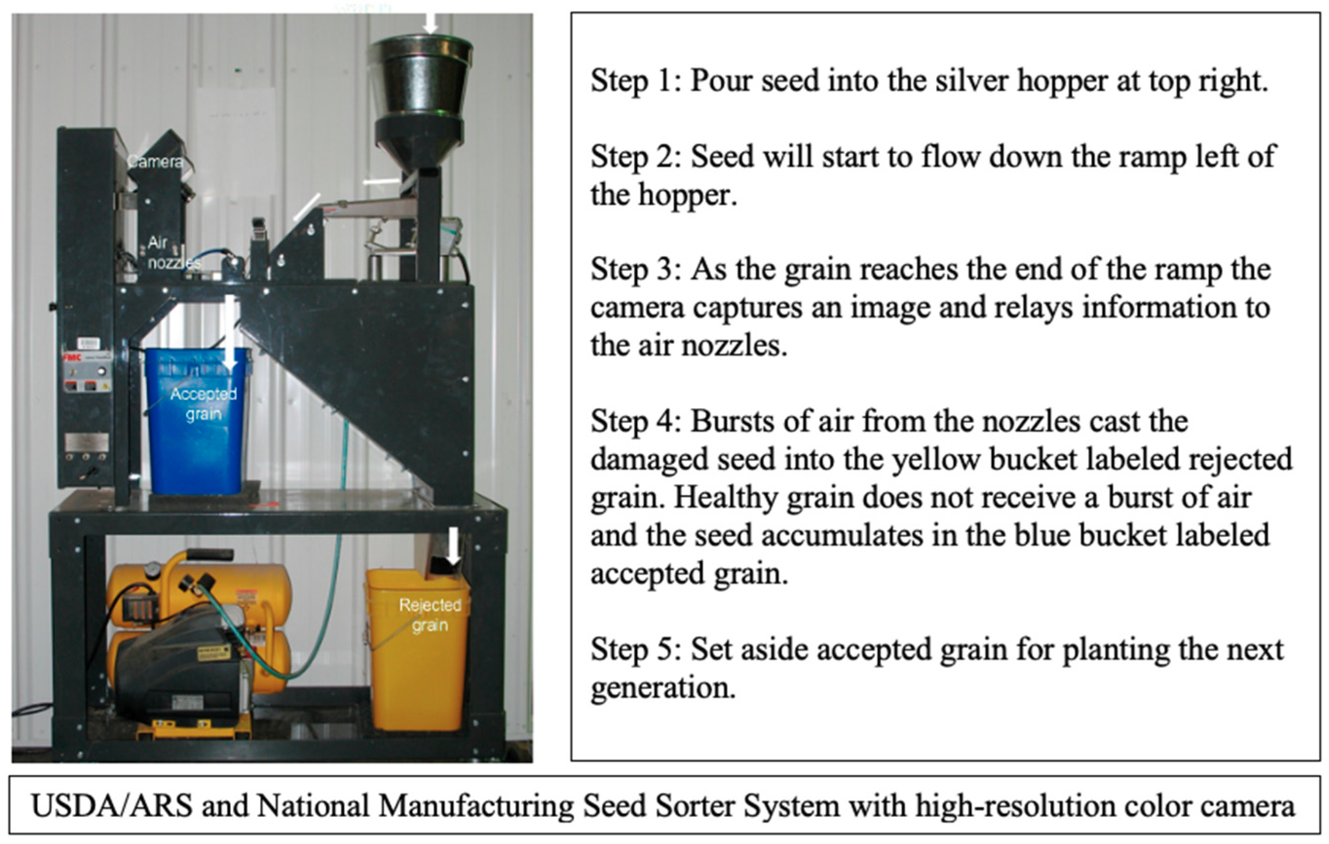 Agronomy 09 00816 g002