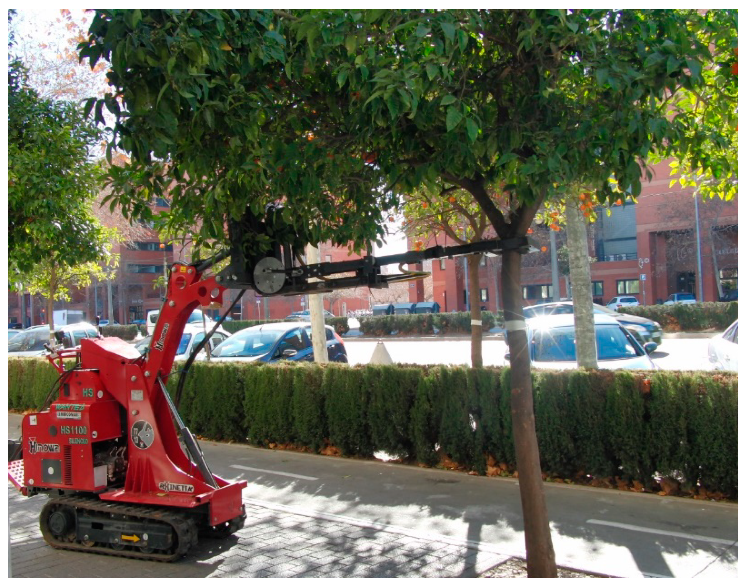 Agronomy Free Full Text Mechanical Harvesting Of Ornamental Citrus Trees In Valencia Spain Html